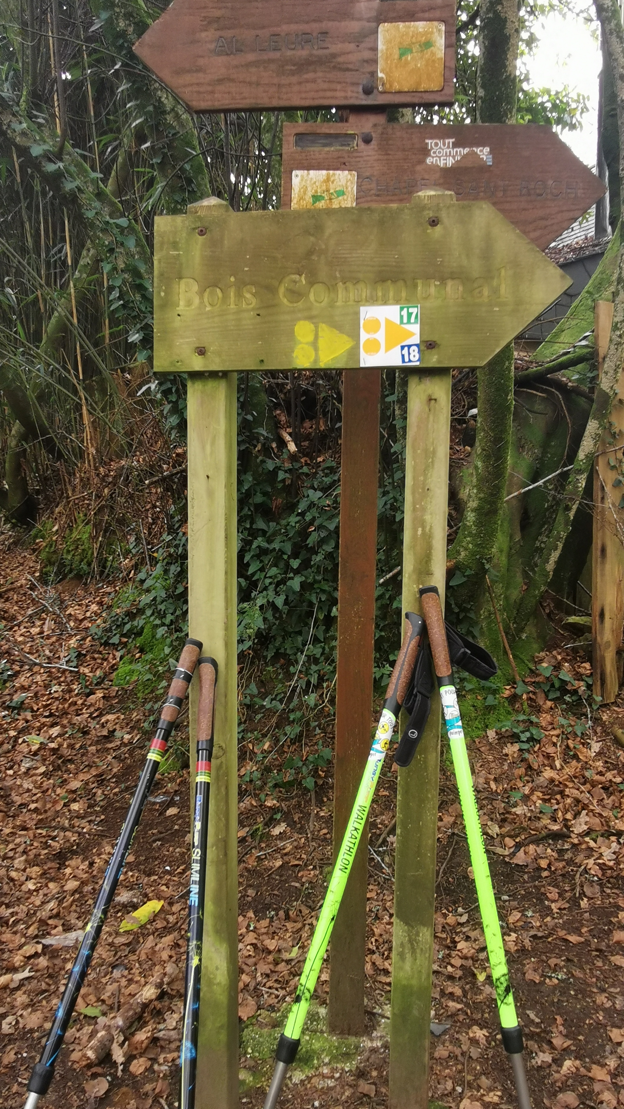 03-IMG_20210323_101334_1