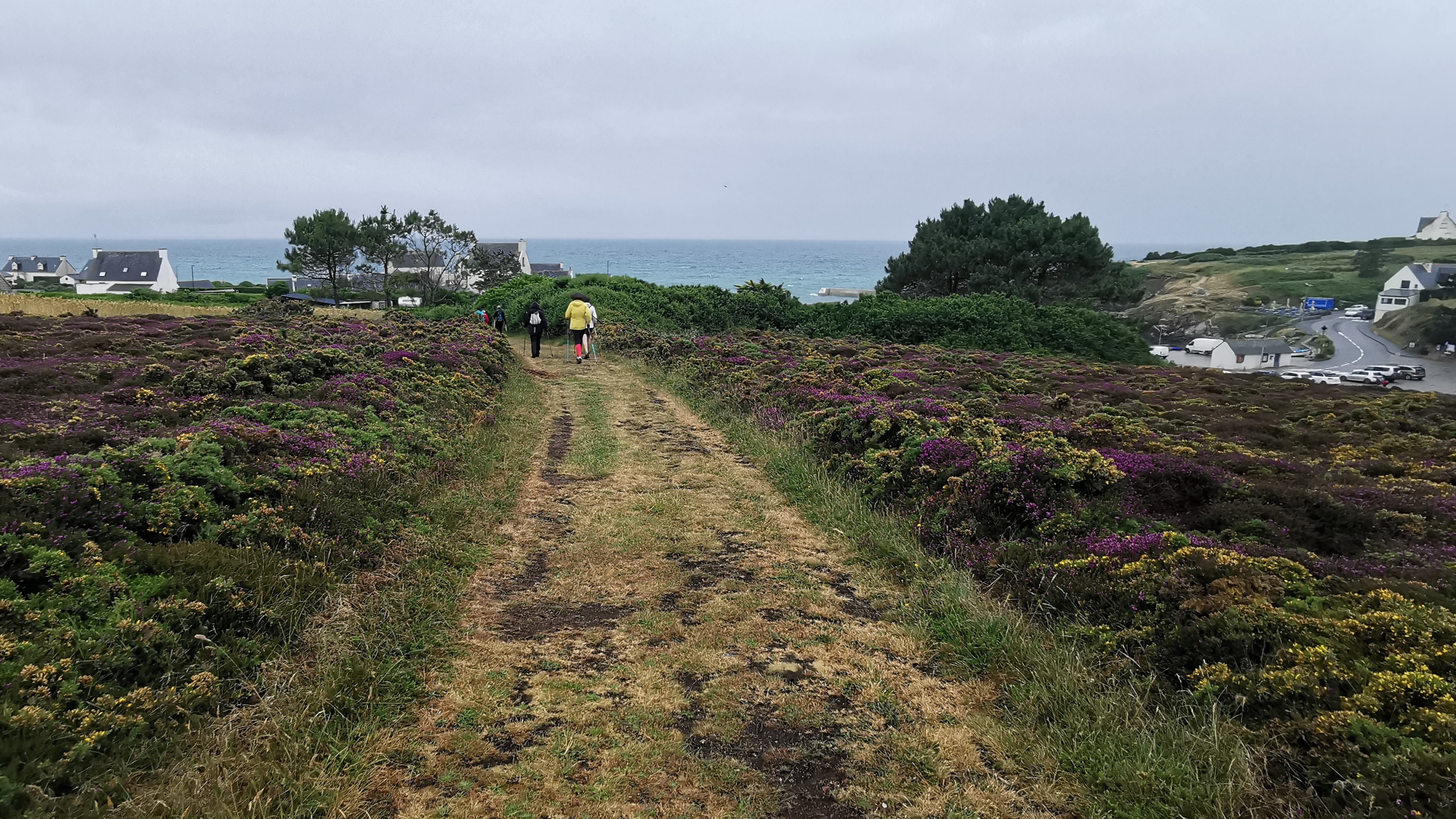 174-IMG_20210620_115034_1