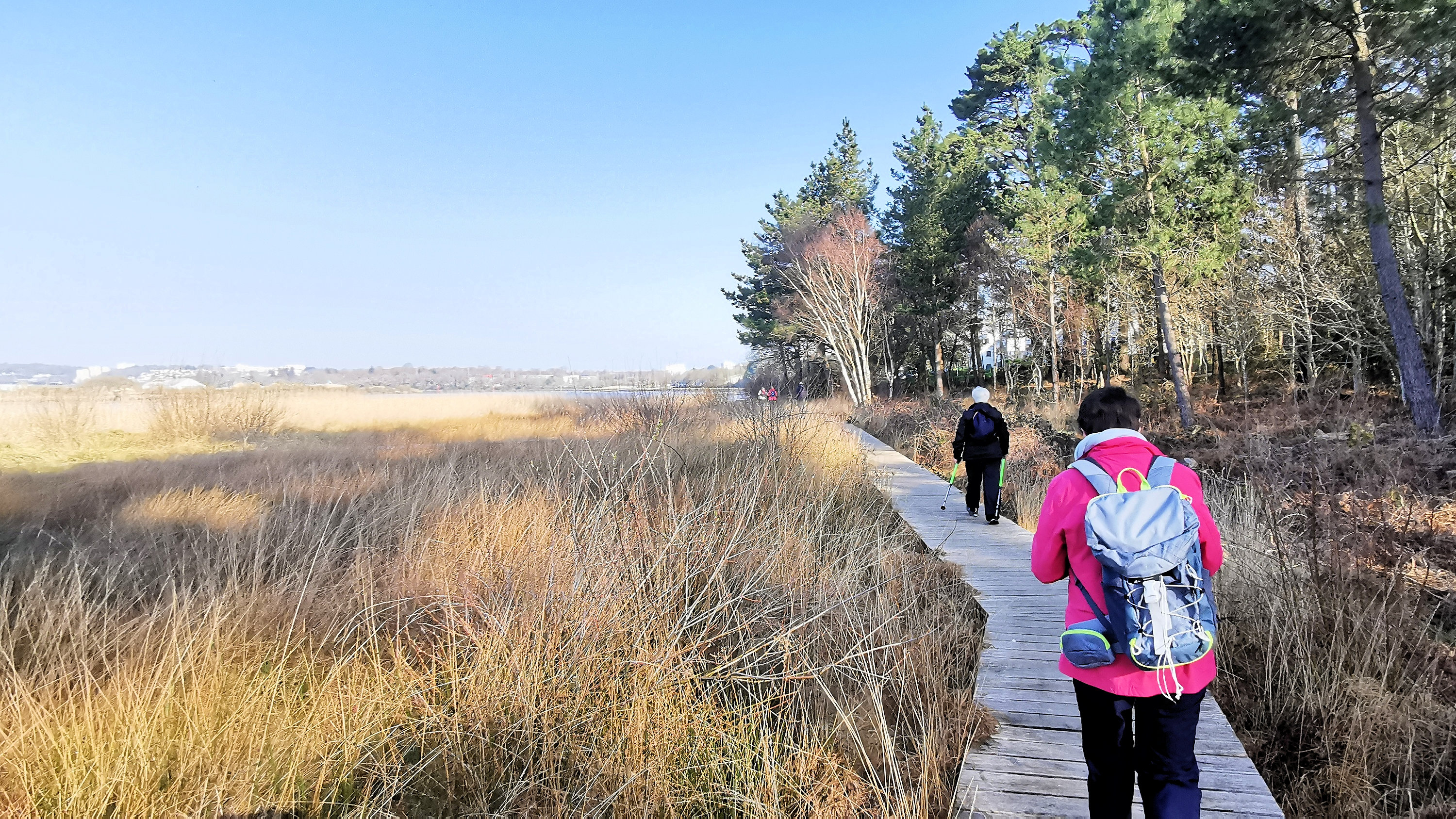 20-IMG_20210301_103335