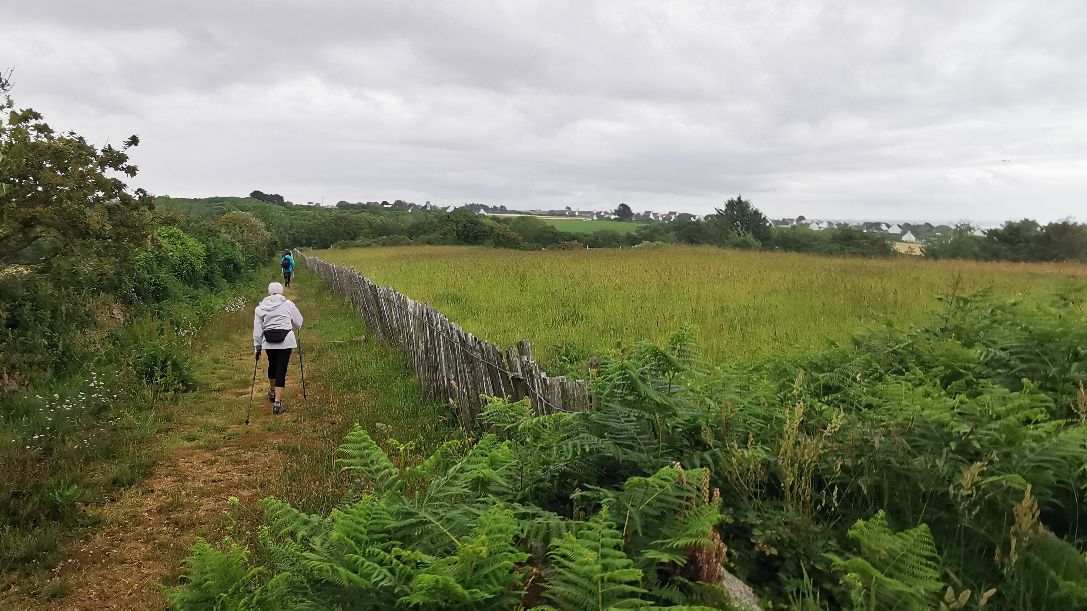 097-IMG_20210620_105146_1