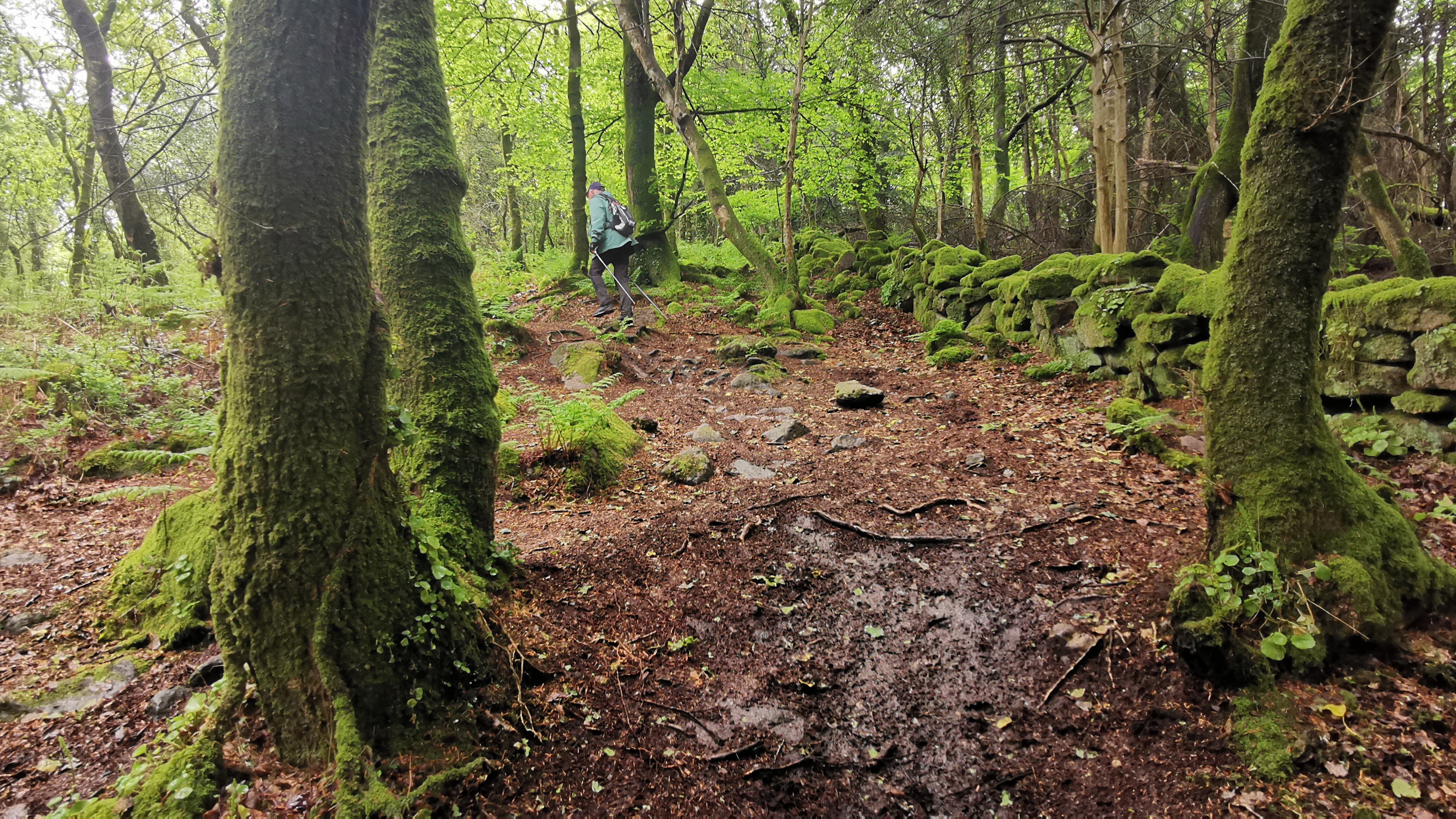 115-IMG_20210513_112944