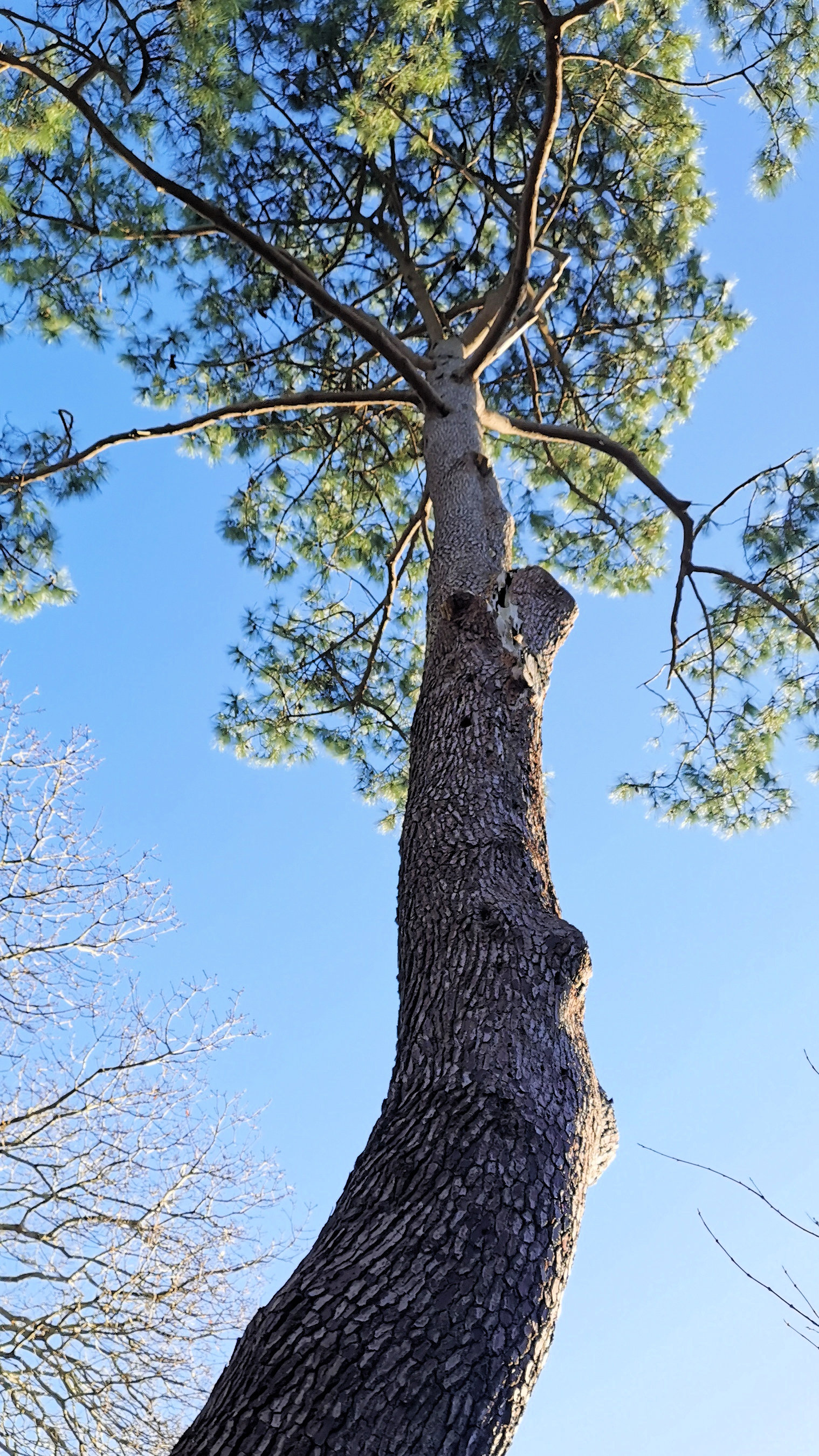 50-IMG_20210109_111219