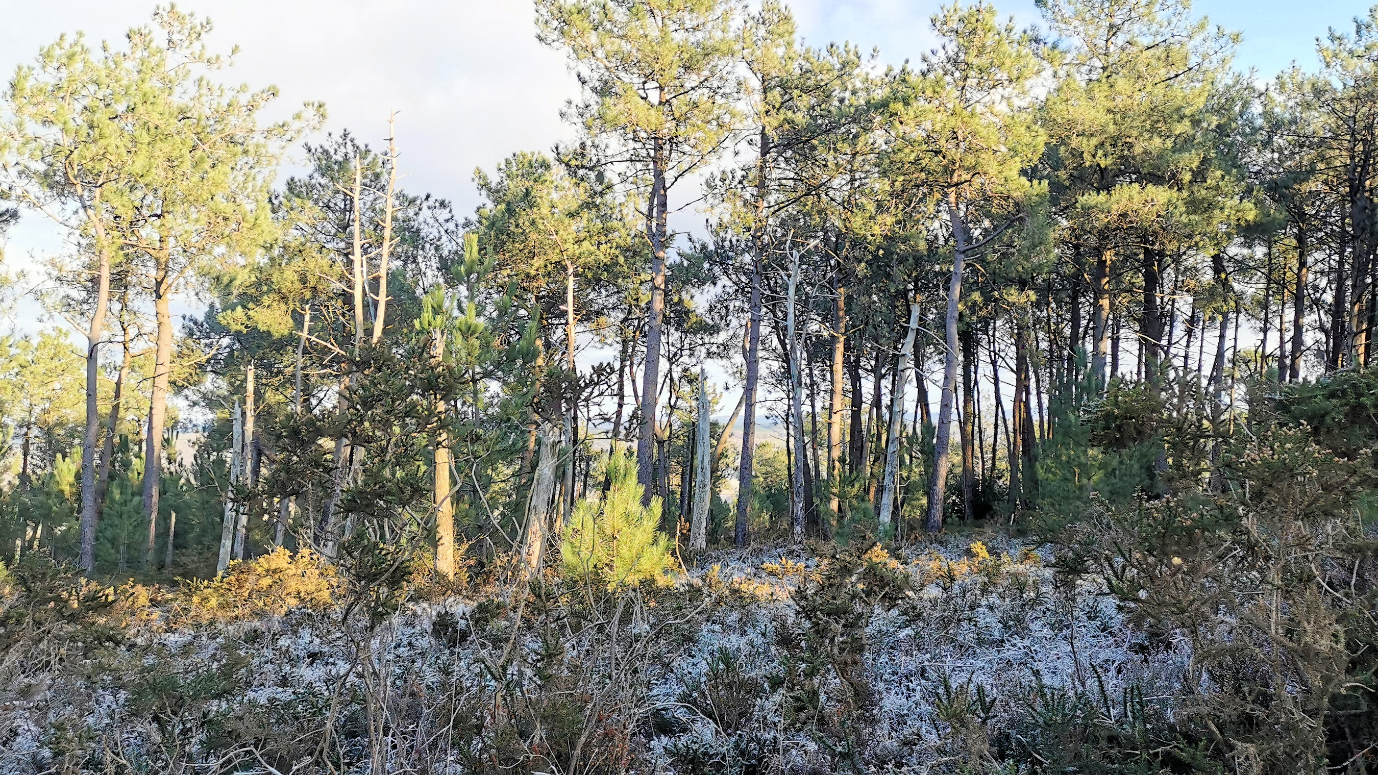 082-IMG_20210110_105009