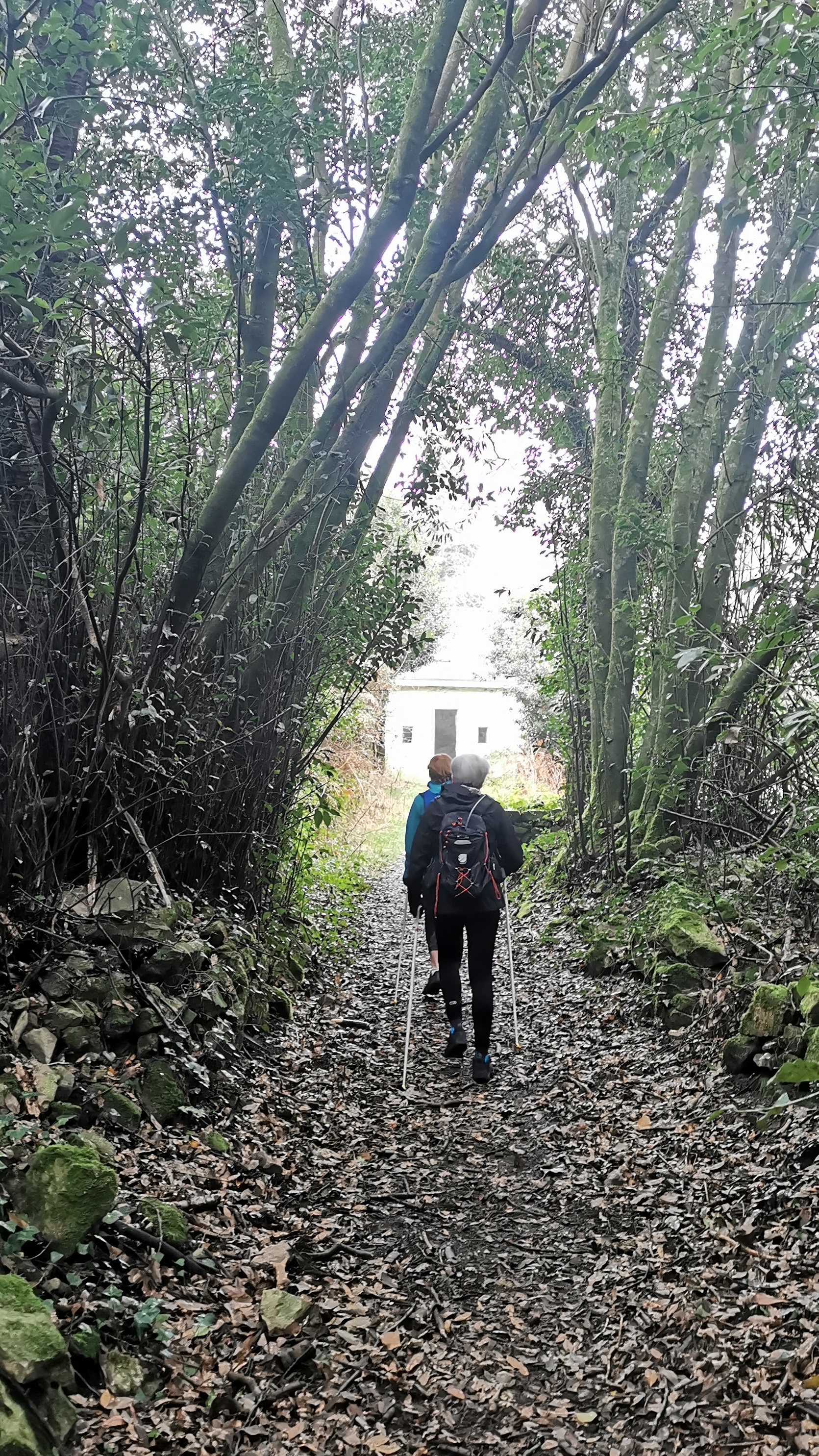 13-IMG_20210304_101252_1