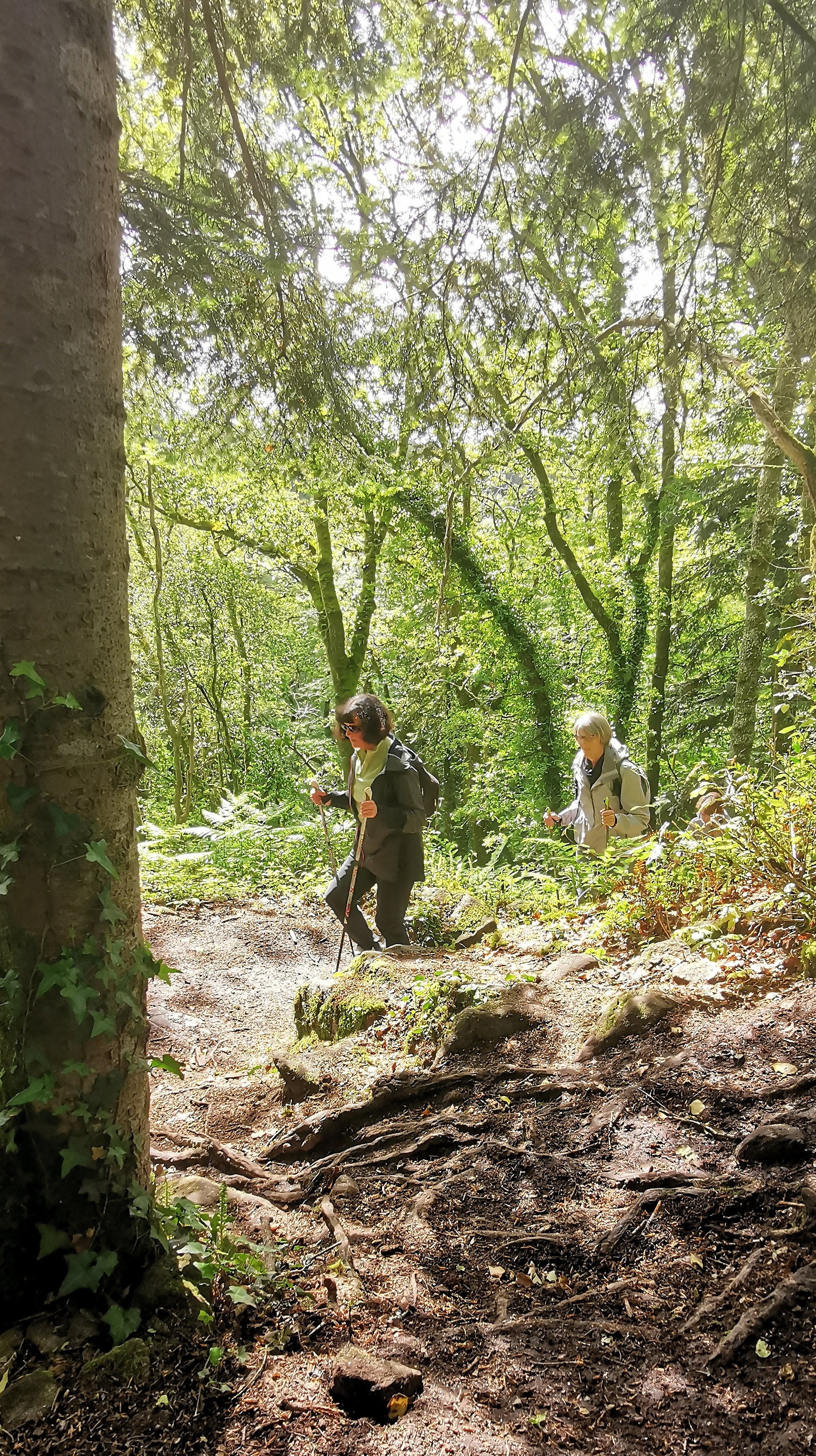 42-IMG_20210522_112101