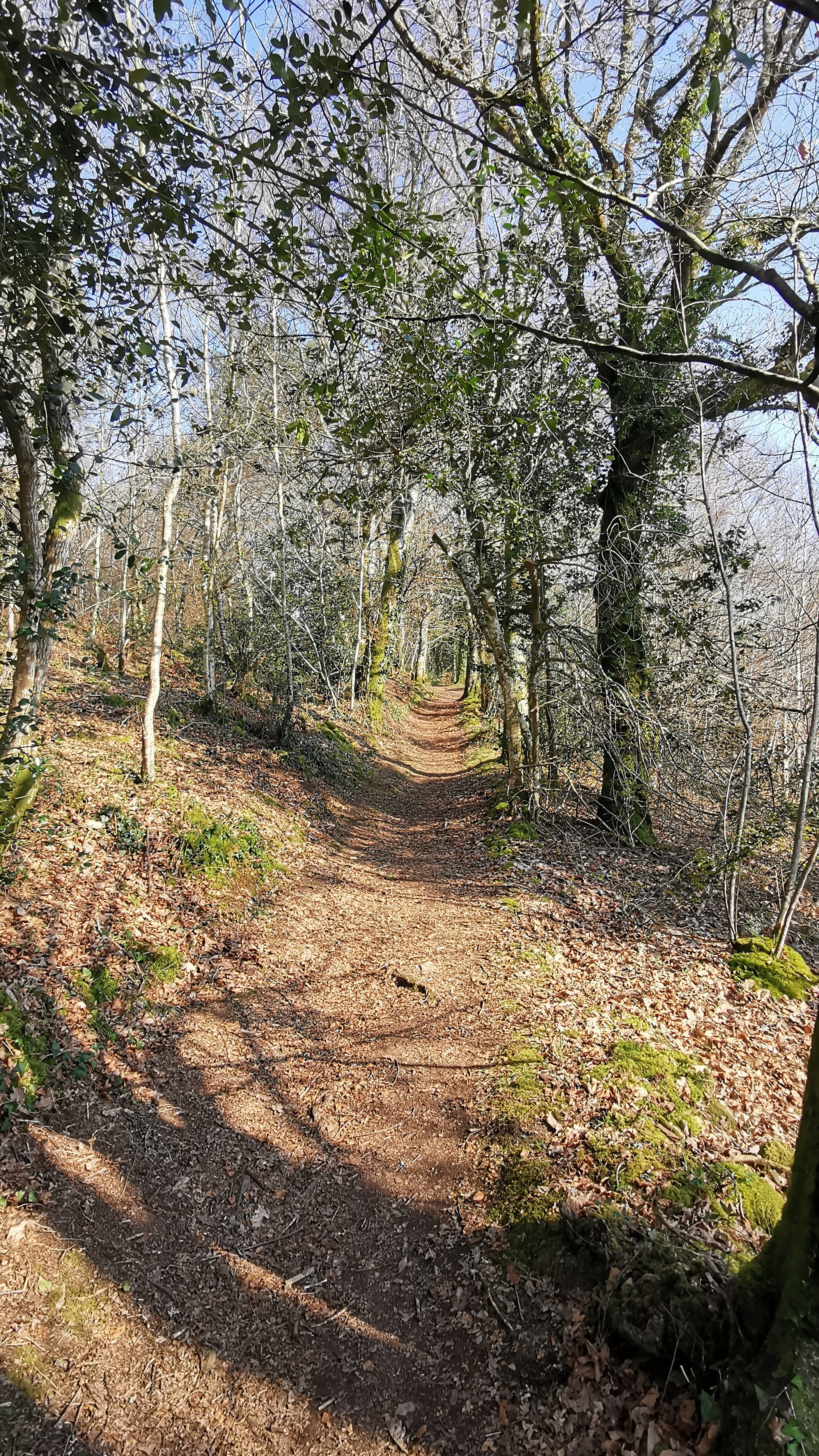 45-IMG_20210308_110257