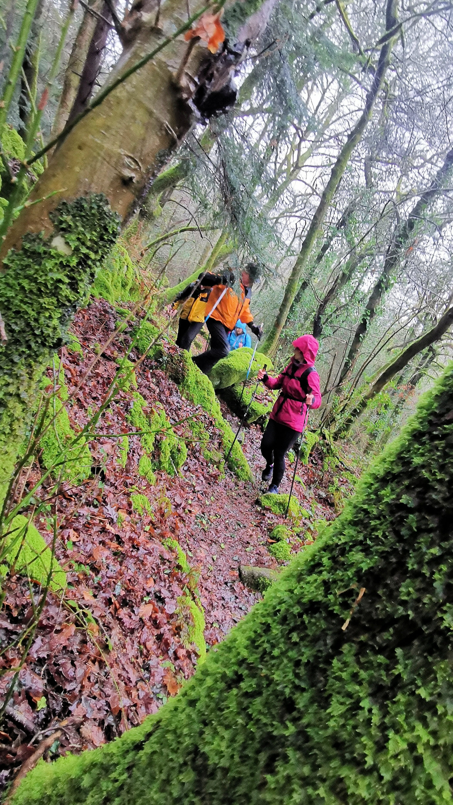 76-IMG_20210121_114043