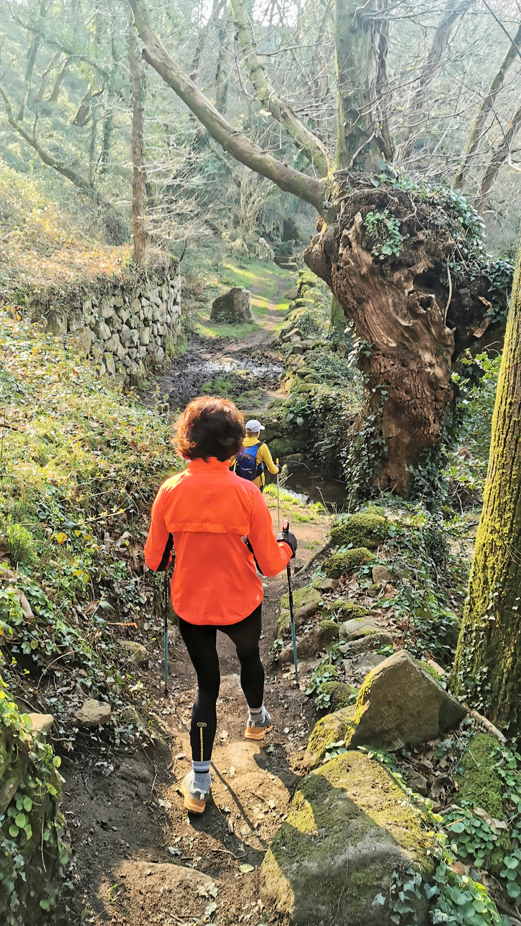 40-IMG_20210307_103528_1