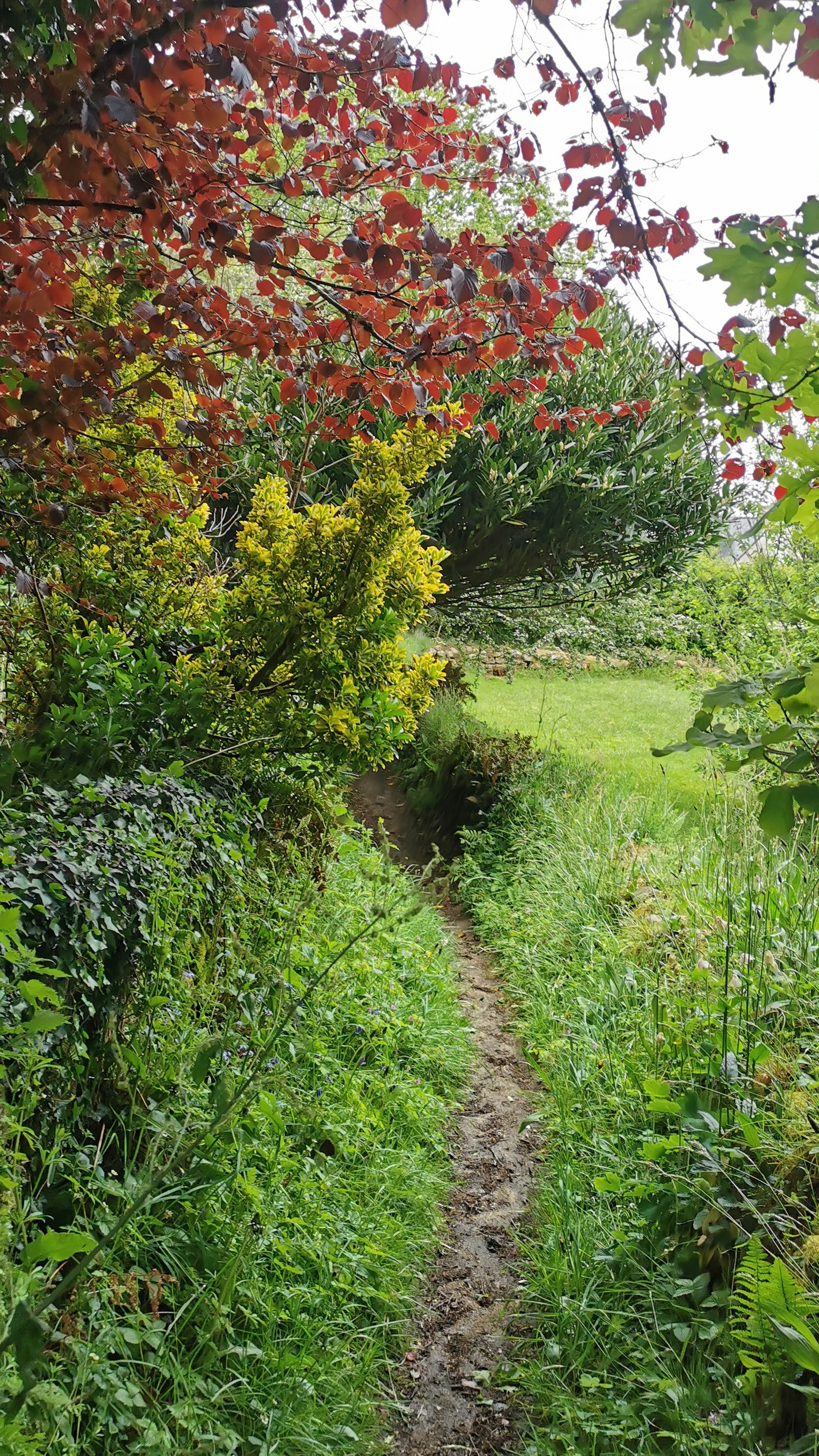 77-IMG_20210508_114145