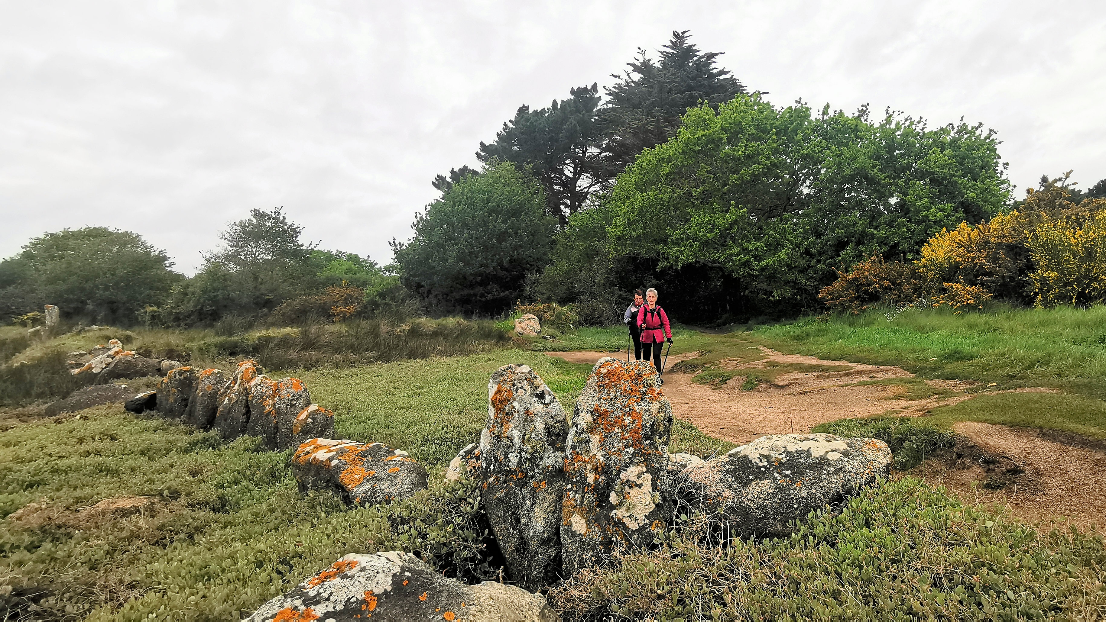 34-IMG_20210520_101119