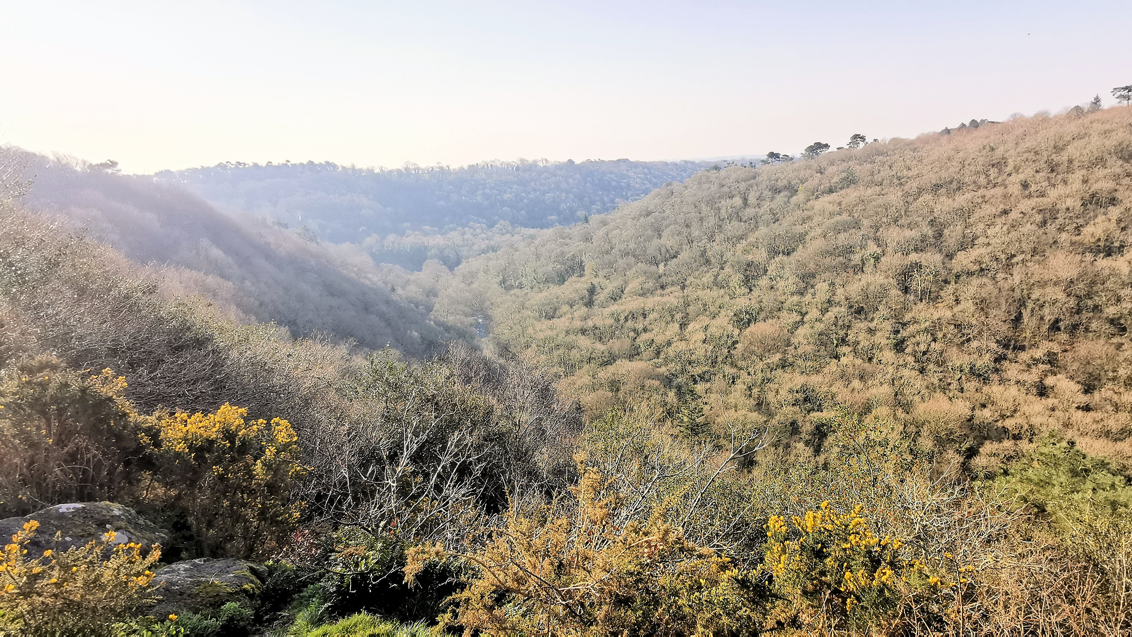 31-IMG_20210307_102513_1