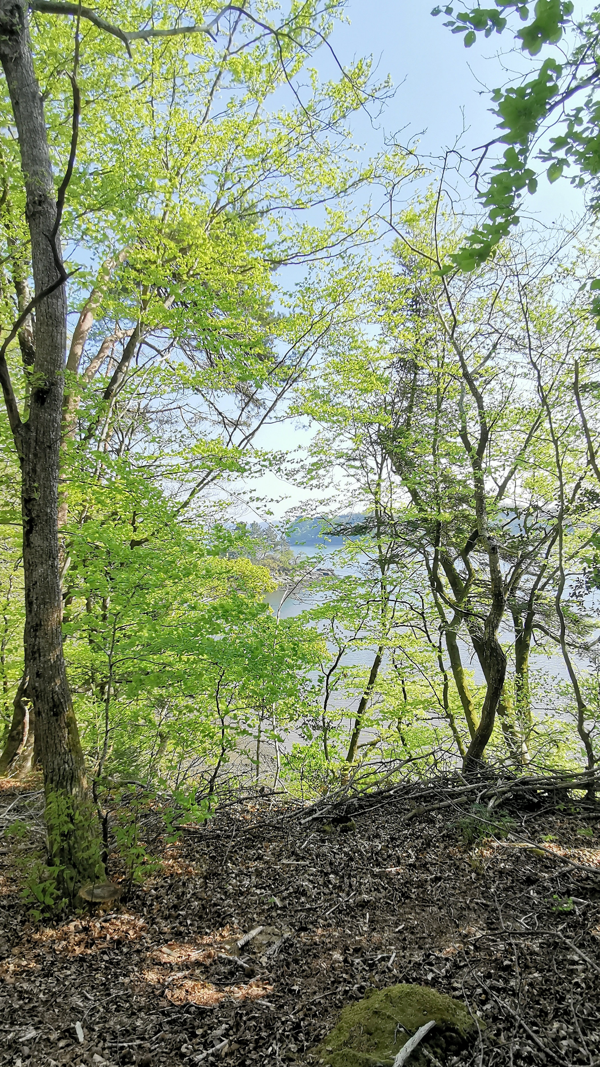 27-IMG_20210422_105631