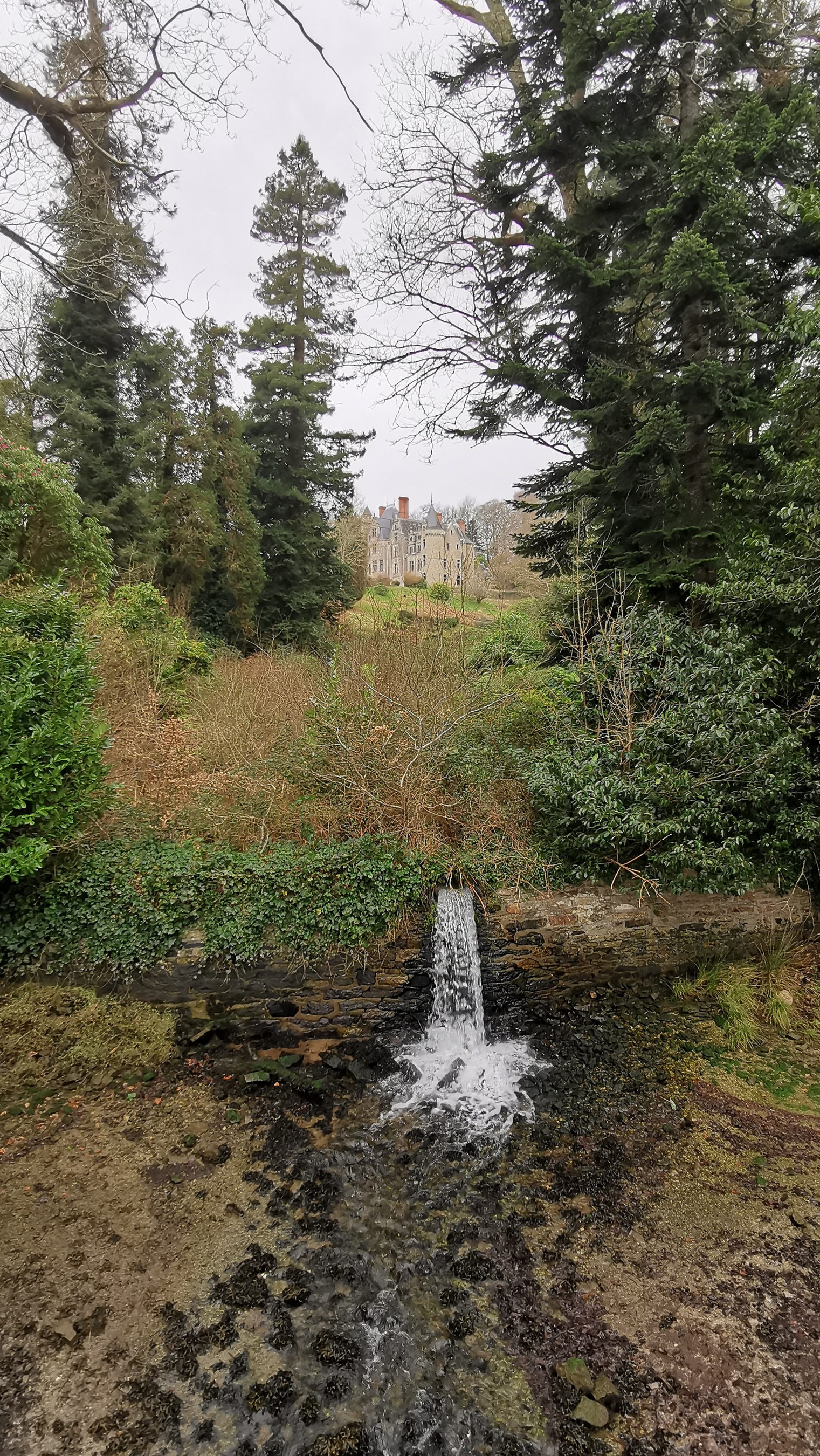 150-IMG_20210220_124017