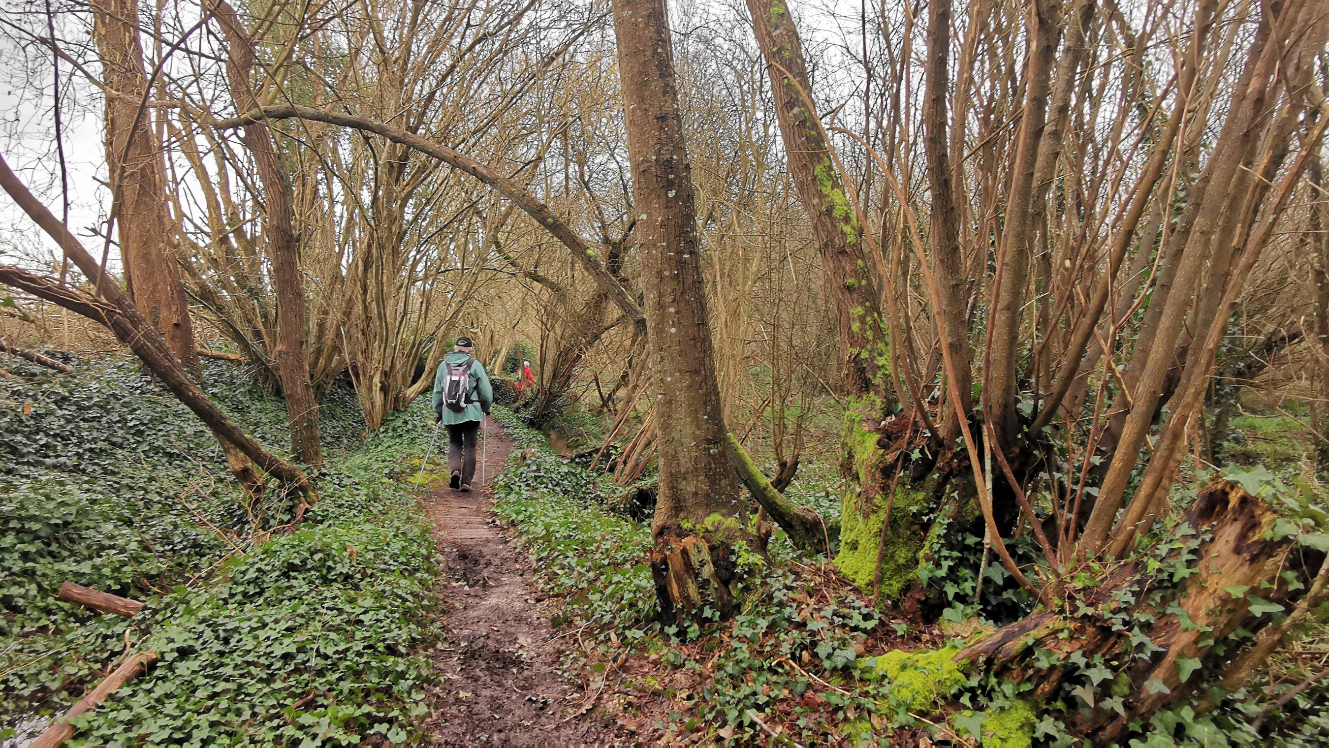 081-IMG_20210220_113431