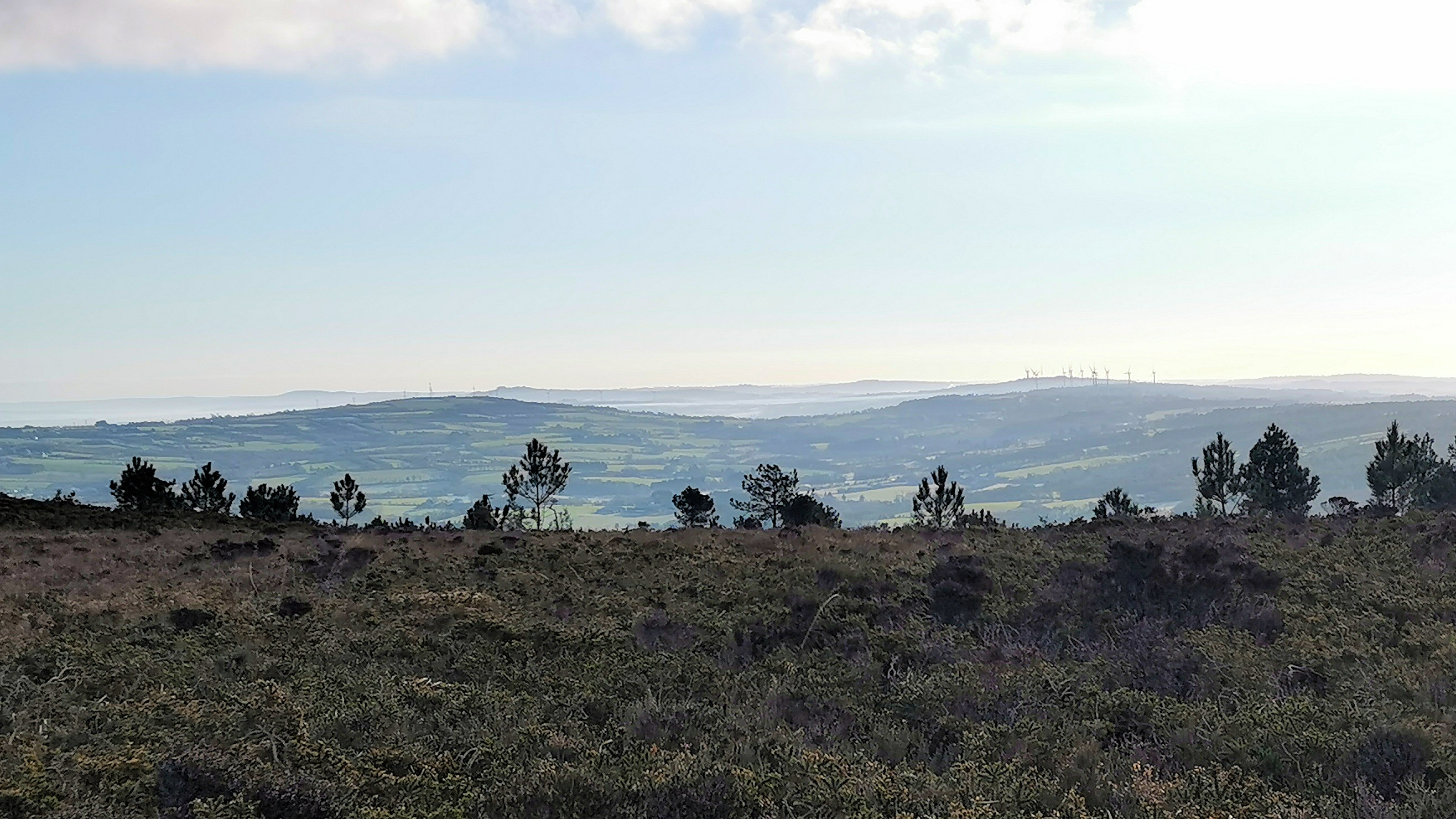 103-IMG_20210110_110504