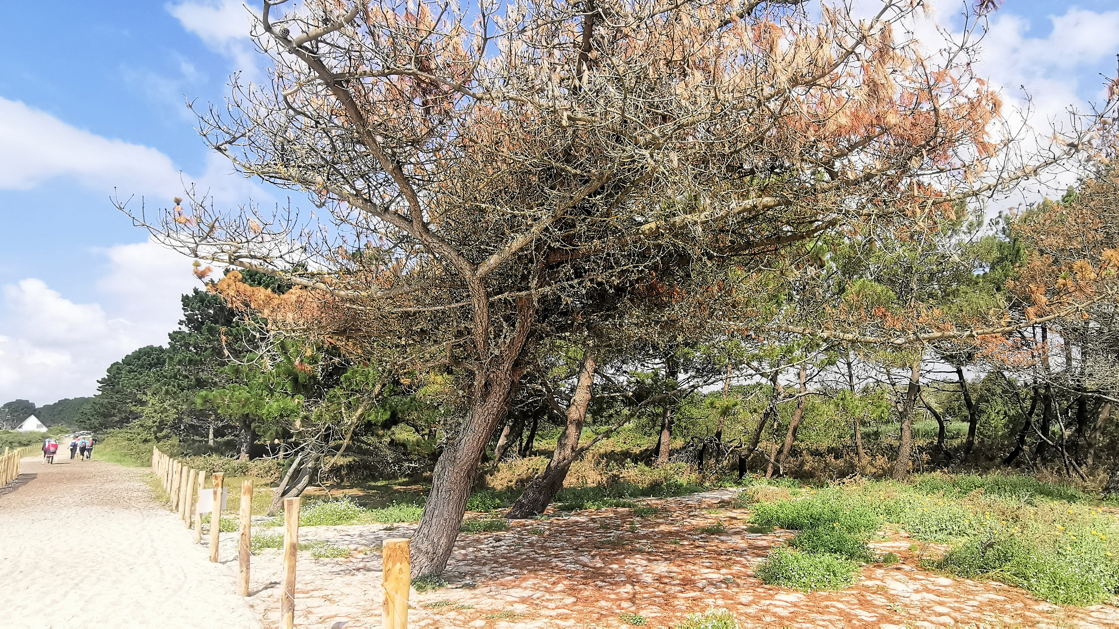 49-IMG_20210726_114449