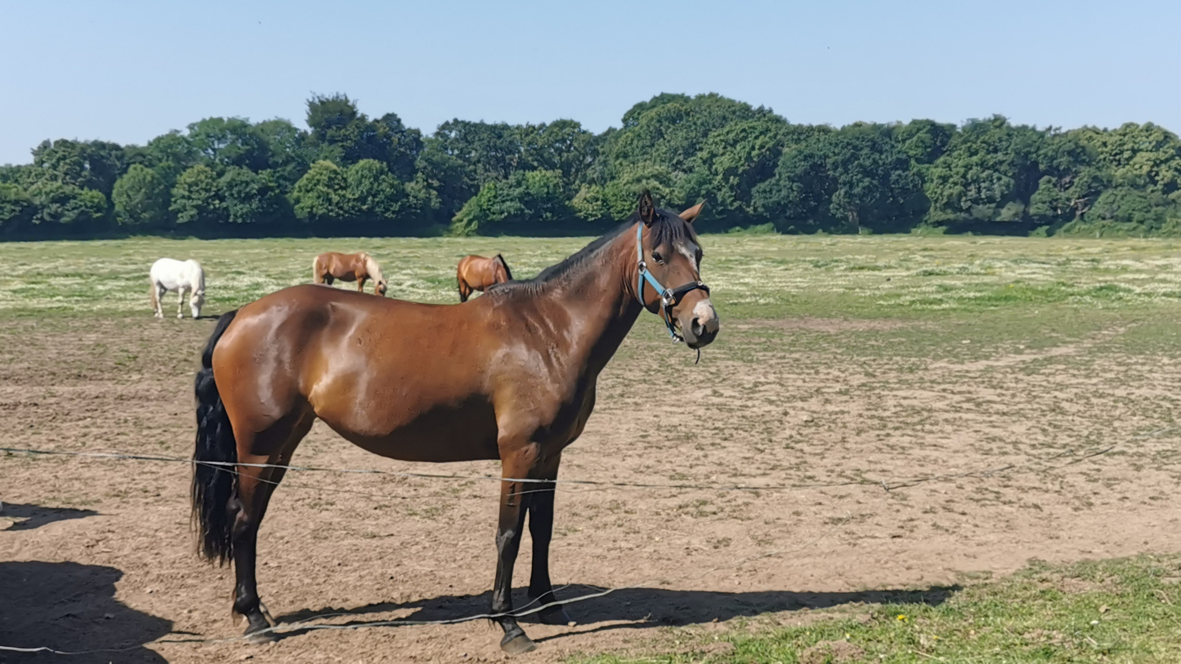 104-IMG_20210718_113808_1