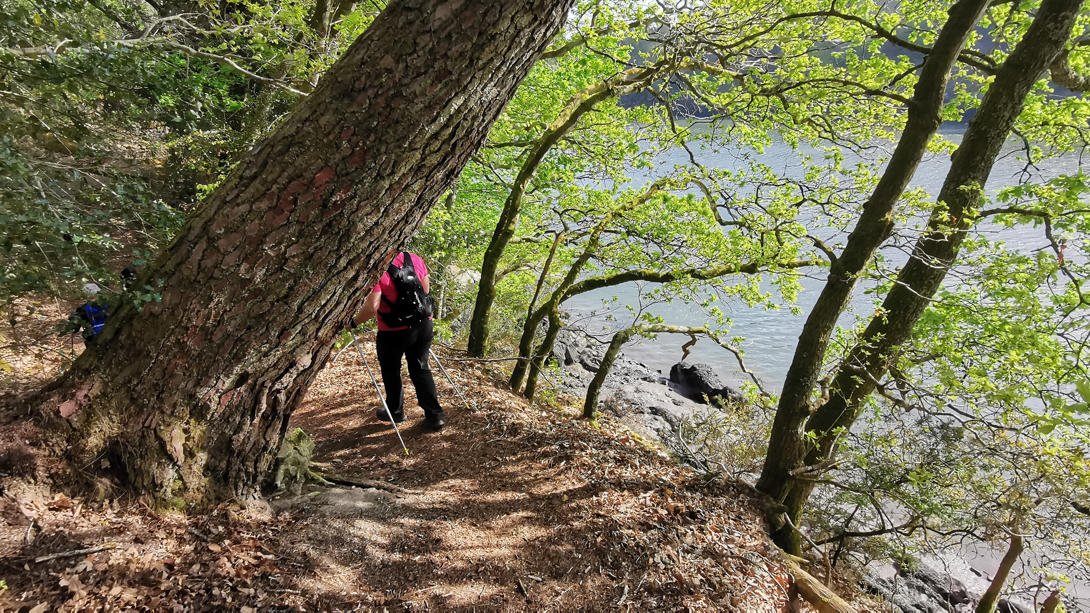 26-IMG_20210425_103747