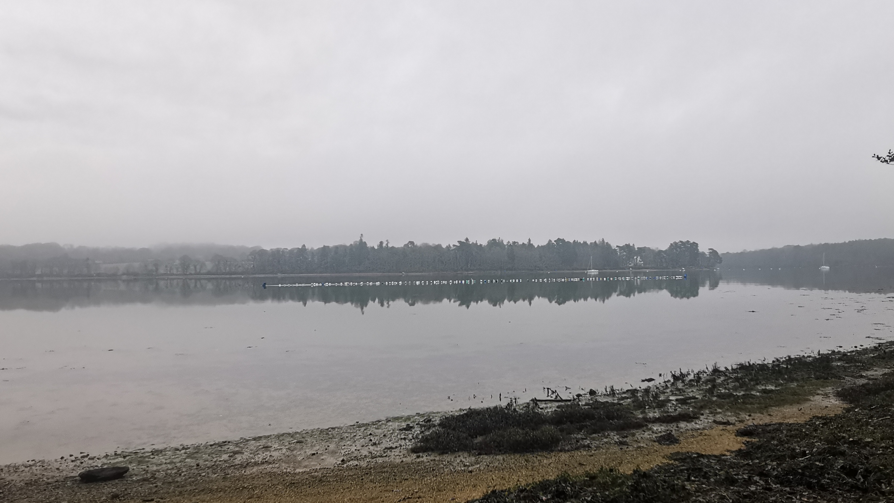 09-IMG_20210304_095853_1