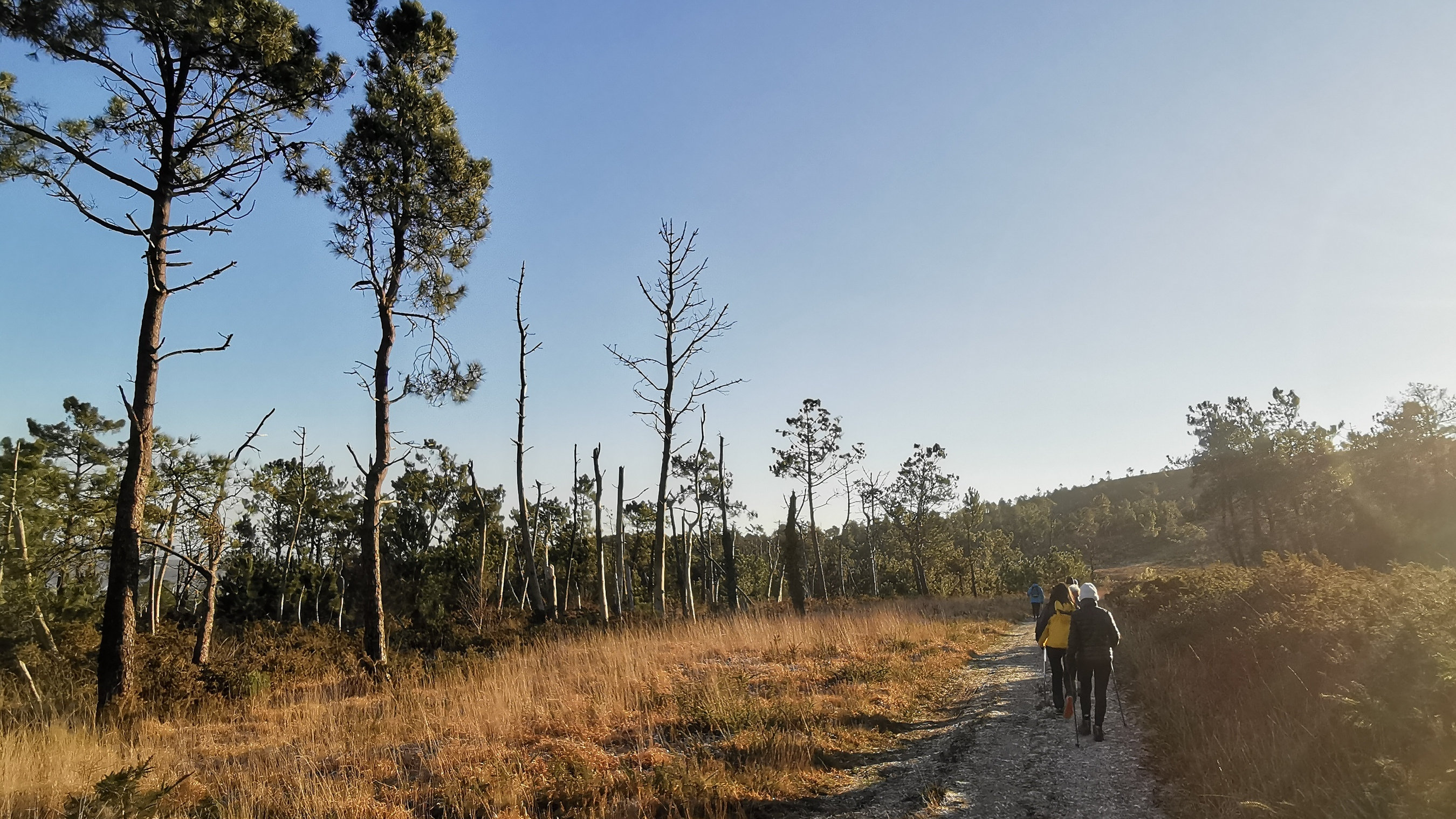 063-IMG_20210110_104248