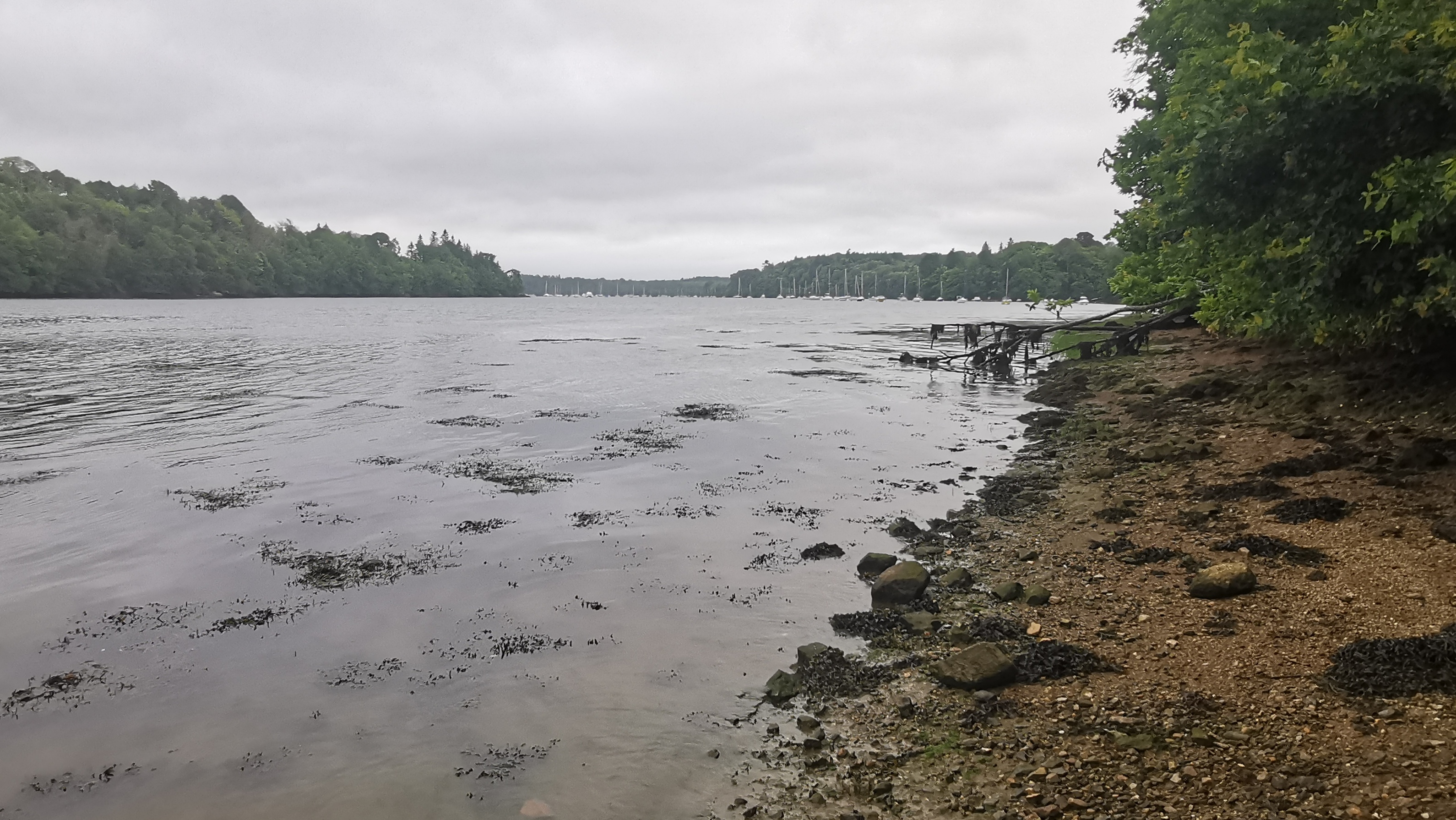 29-IMG_20210617_105045