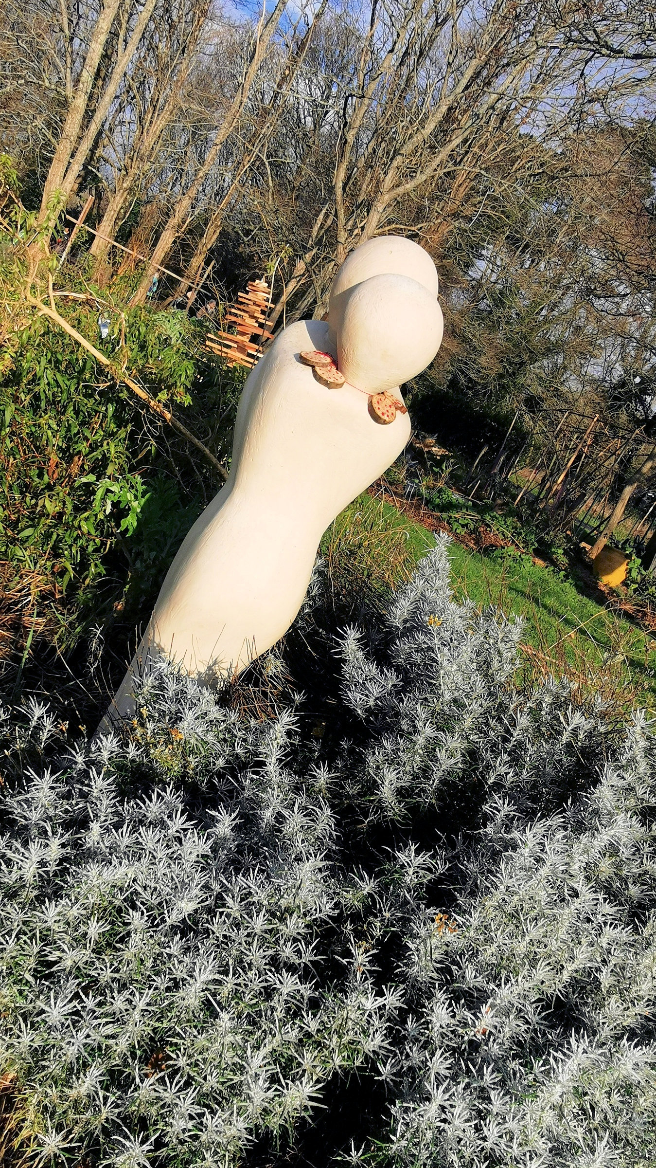 23-IMG_20210105_112154