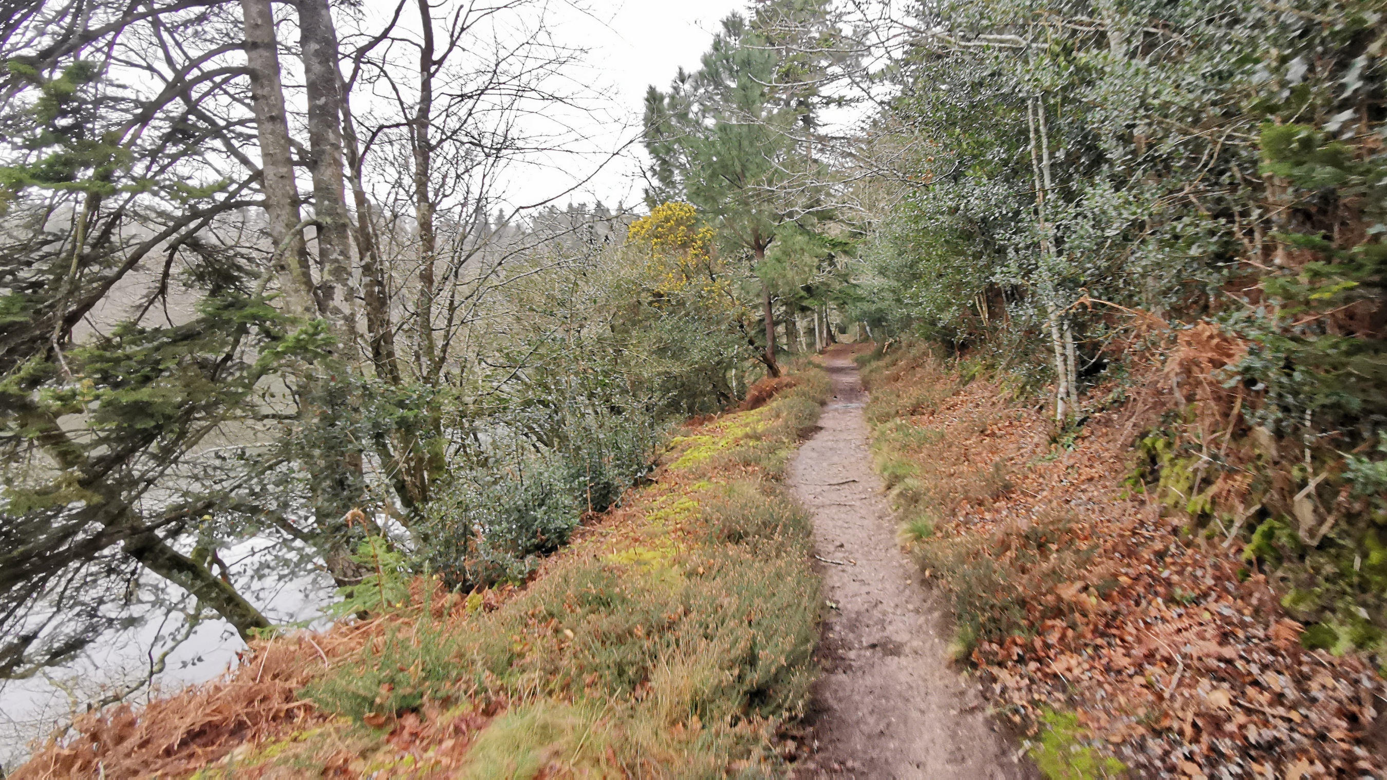 125-IMG_20210220_121635