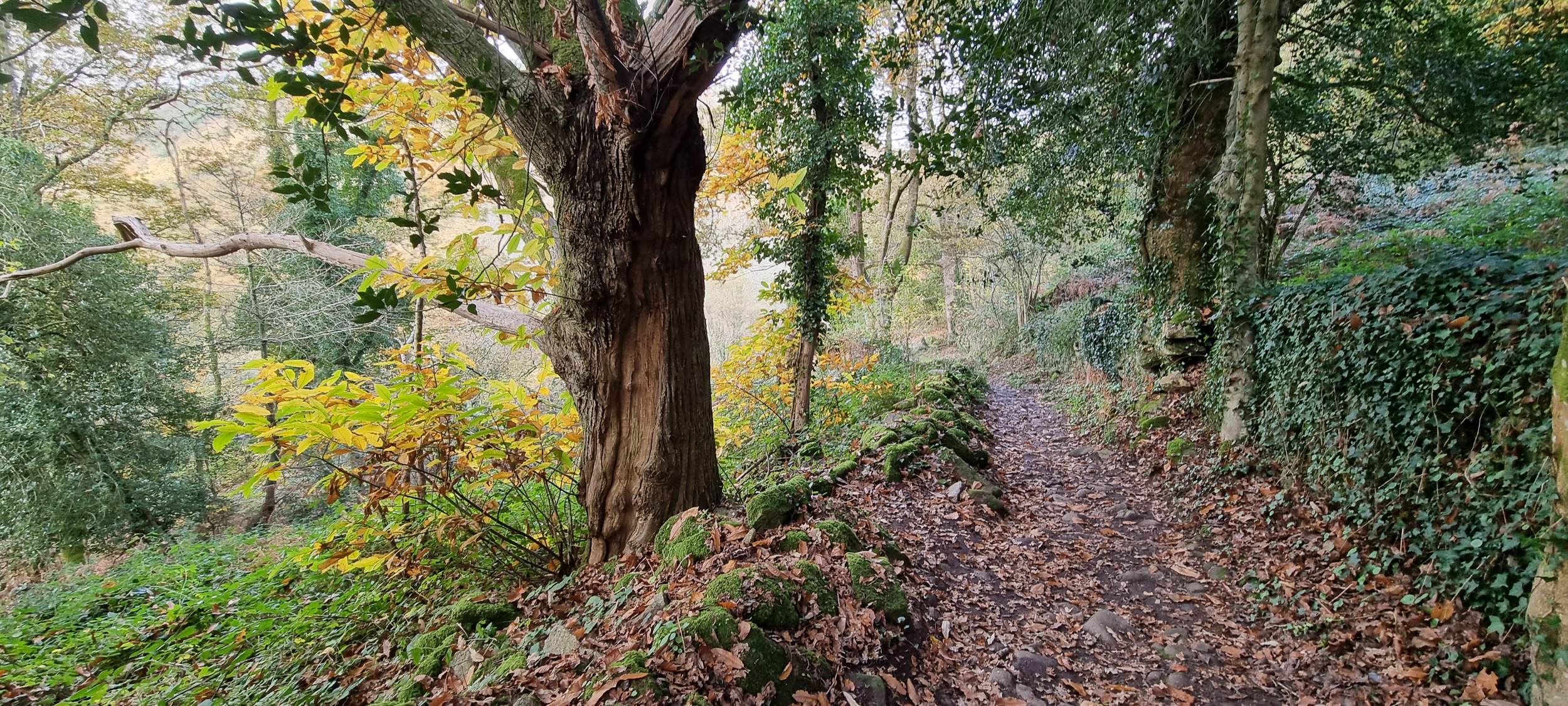 61-20211115_110509(0)