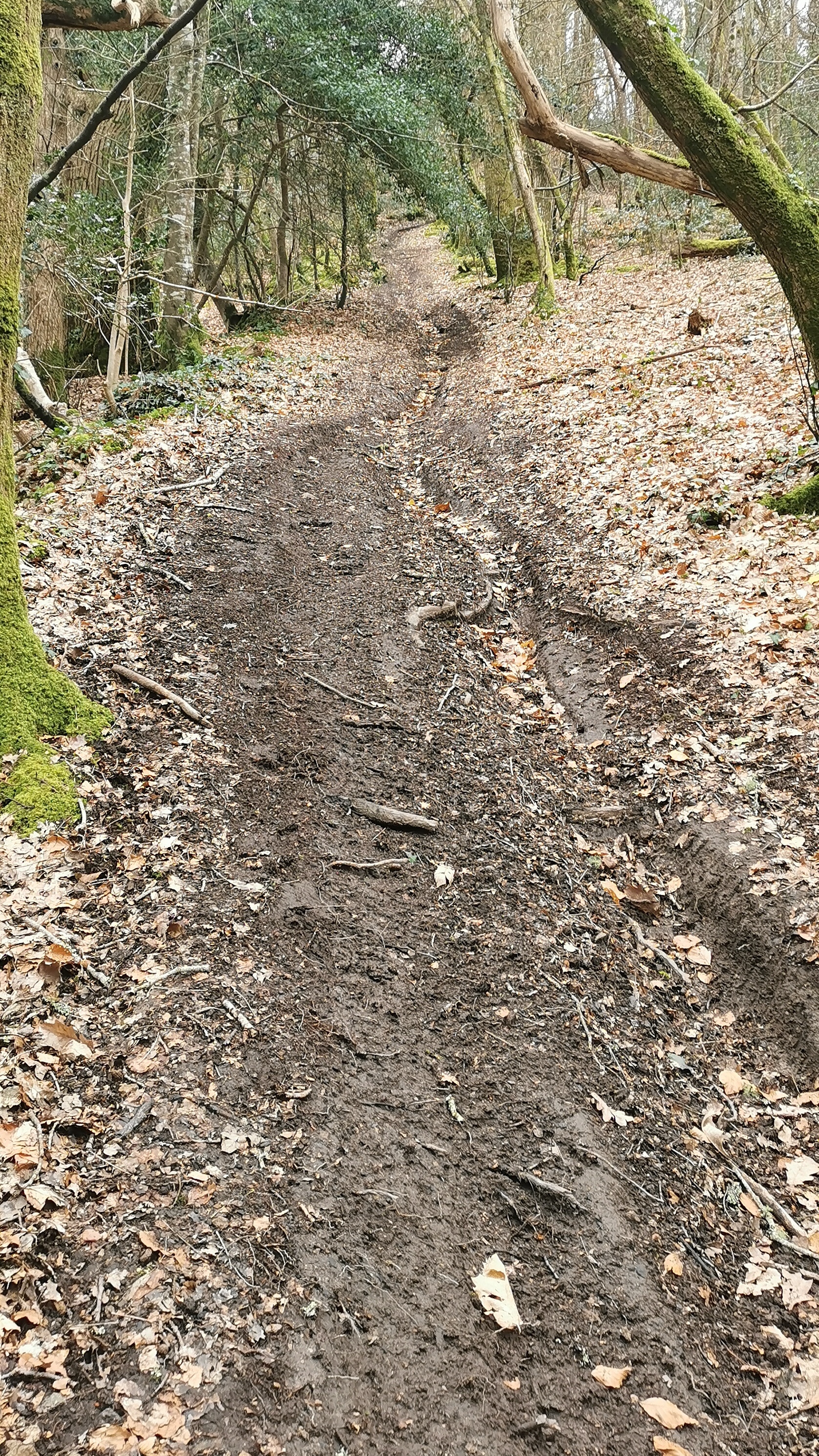 26-IMG_20210316_104150