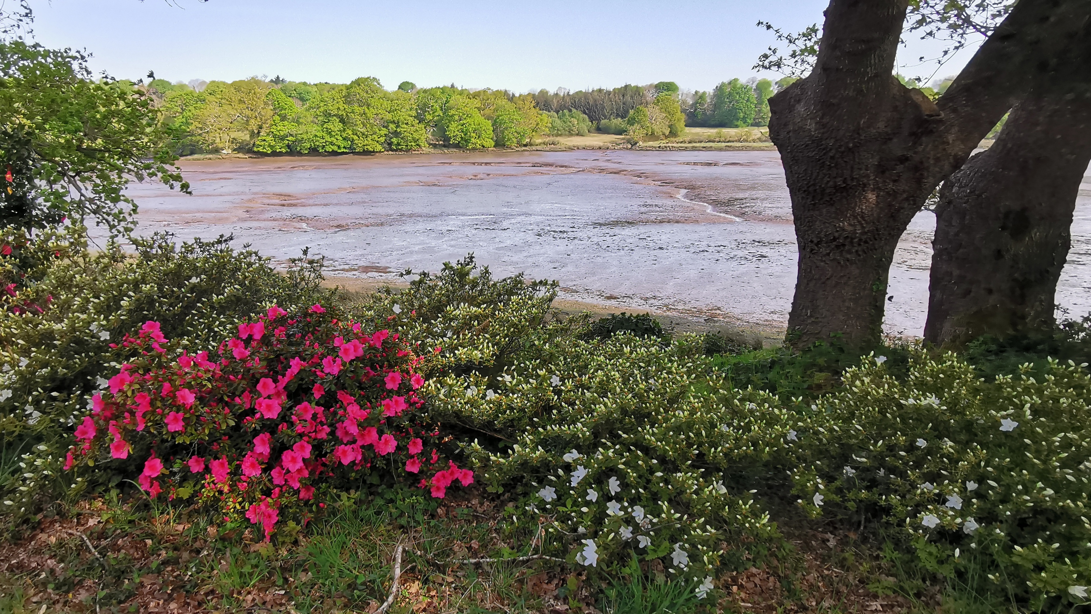 81-IMG_20210425_112053