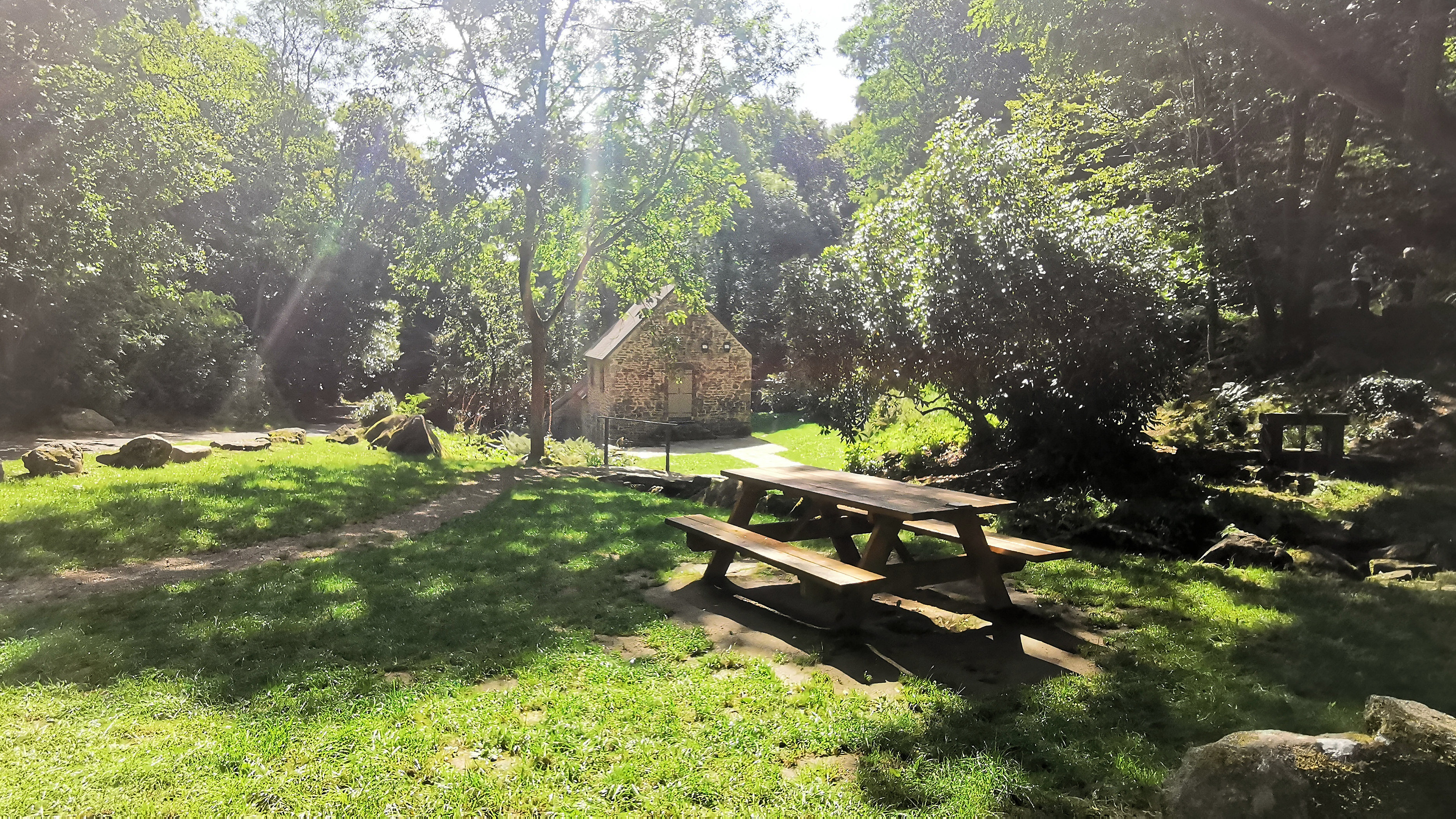 045-IMG_20210816_114931_1