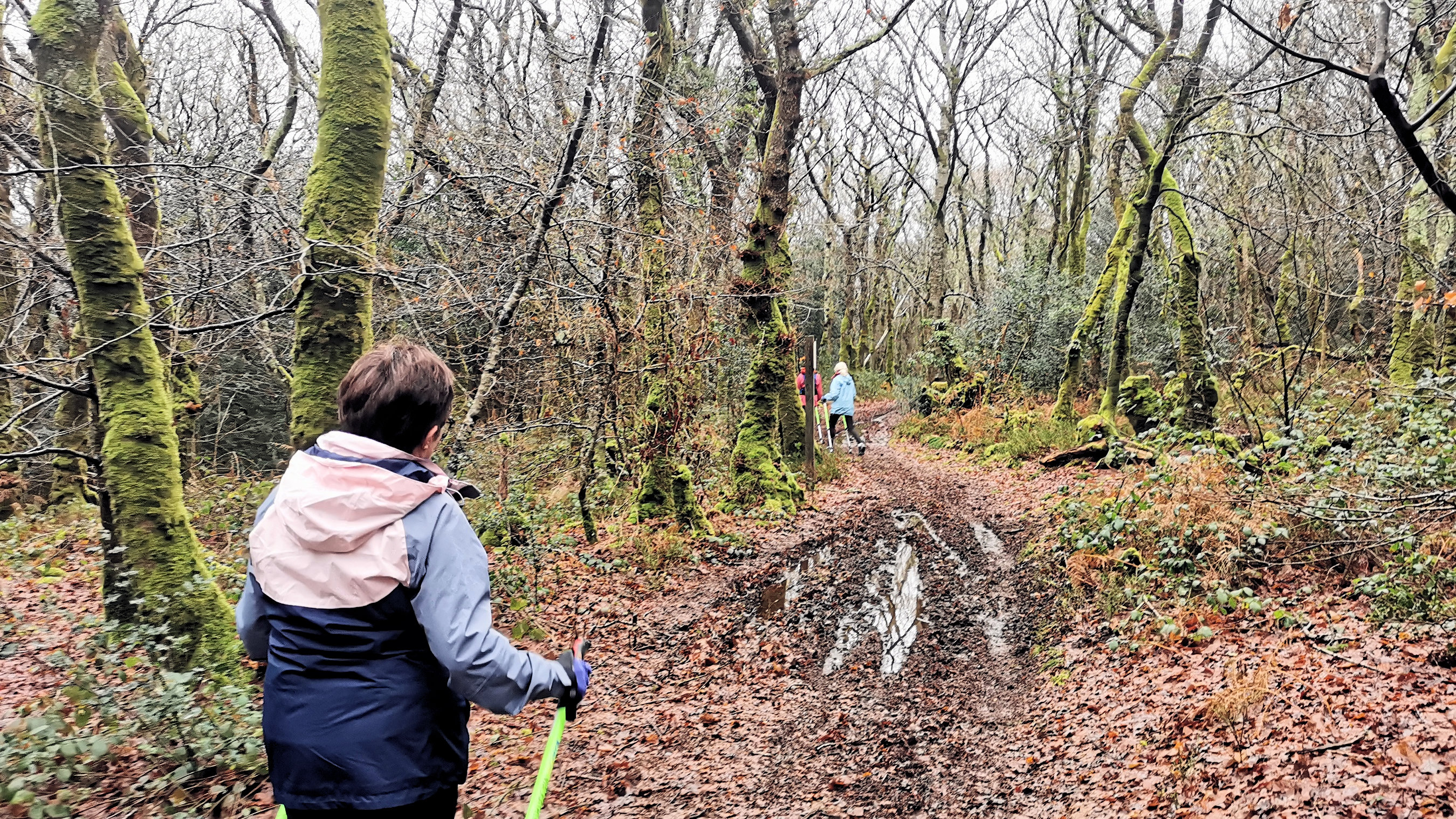 01-IMG_20210119_101928