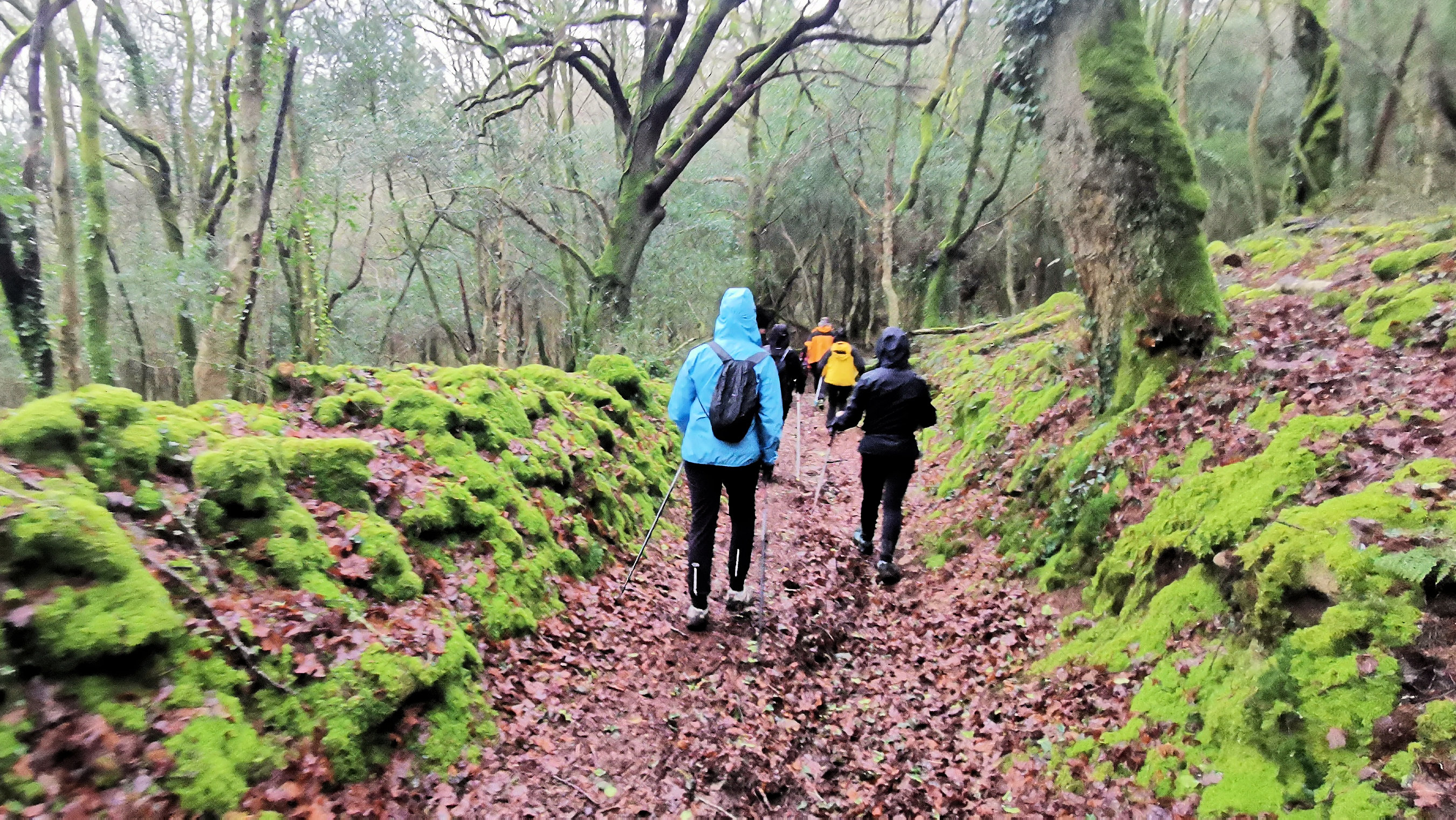 34-IMG_20210121_103657