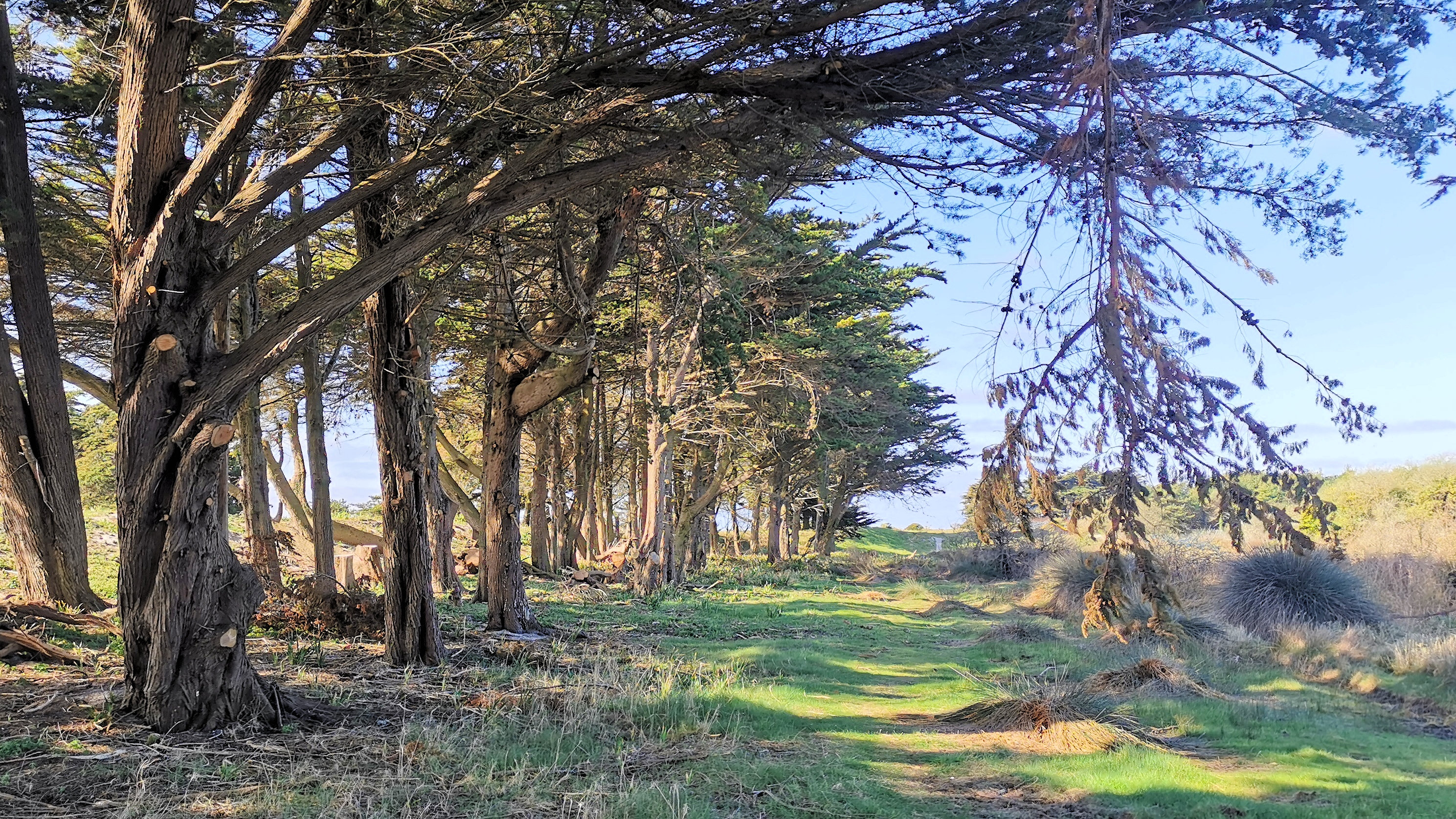 44-IMG_20210403_111356