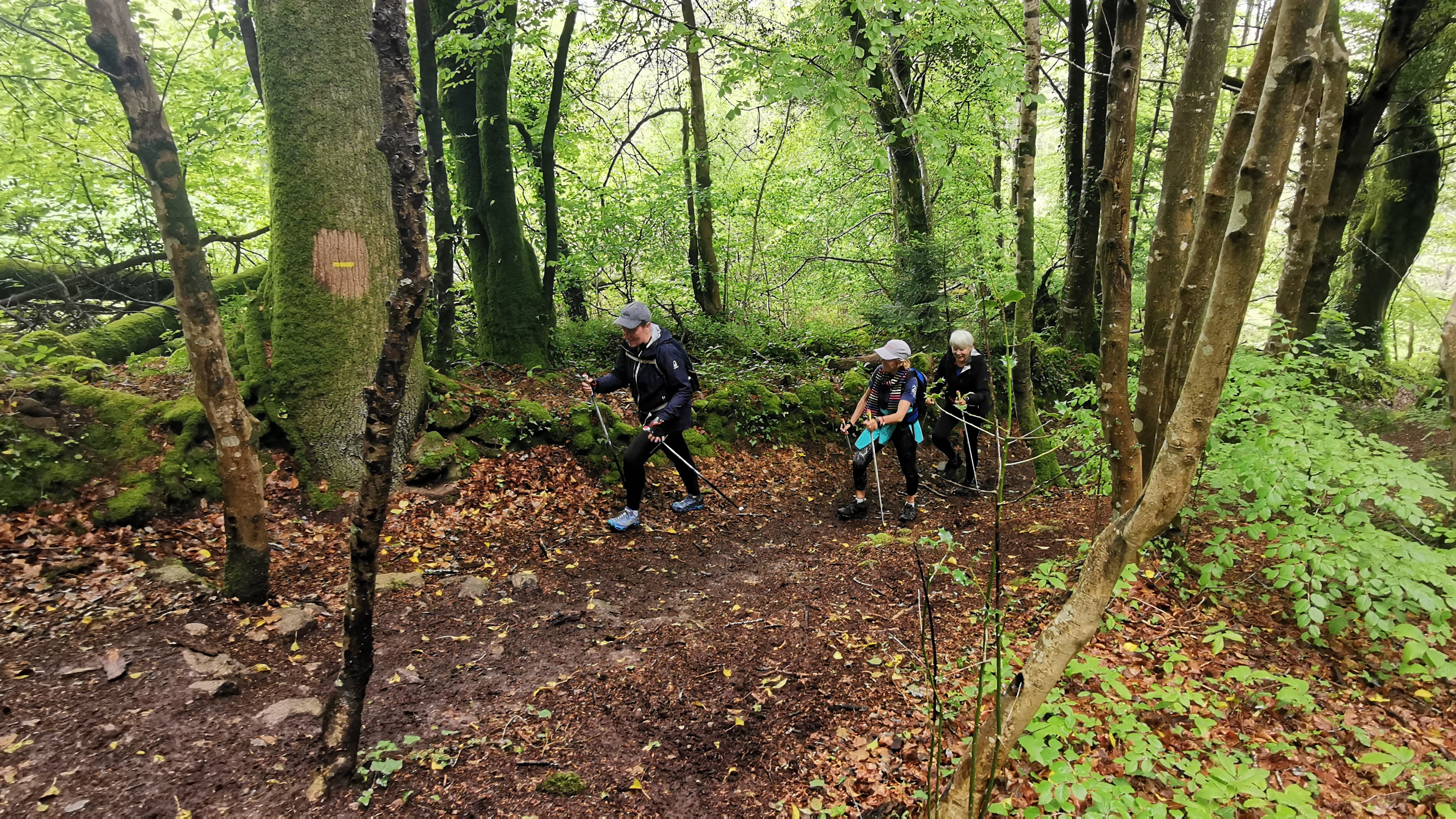 113-IMG_20210513_112803