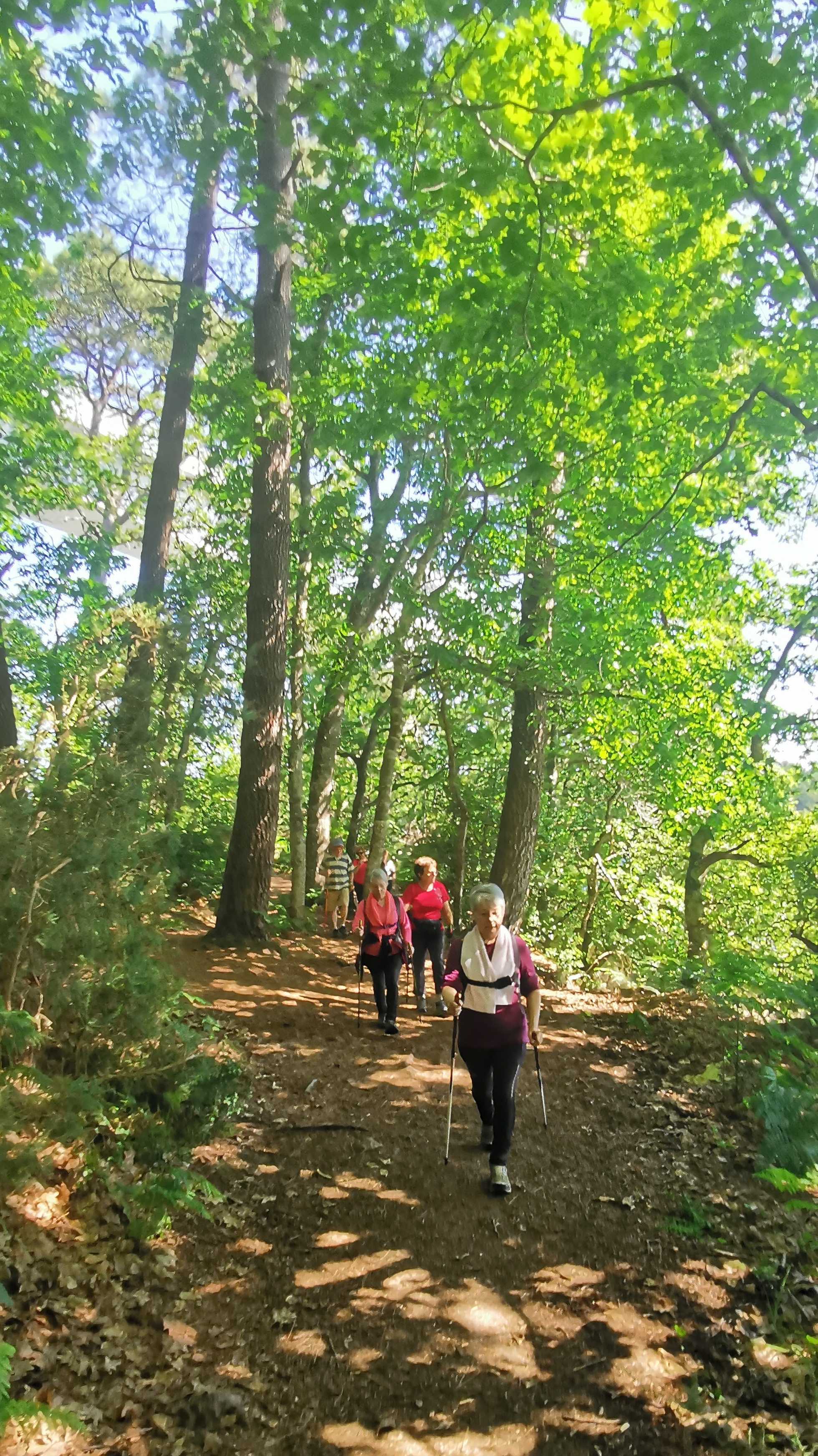 27-IMG_20210614_112210_1