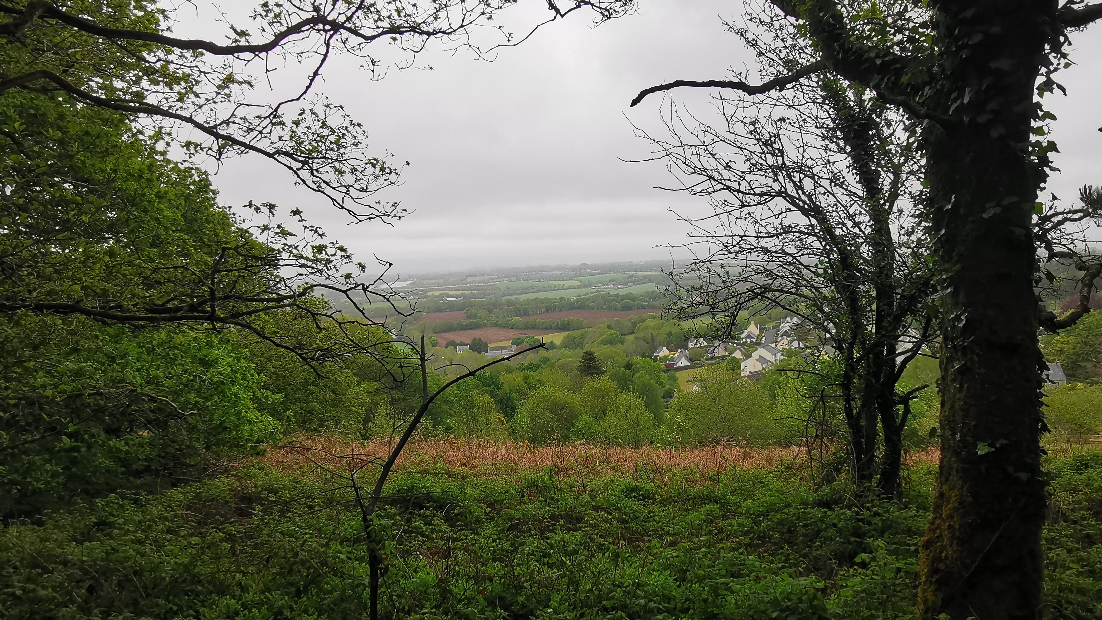 64-IMG_20210508_112618