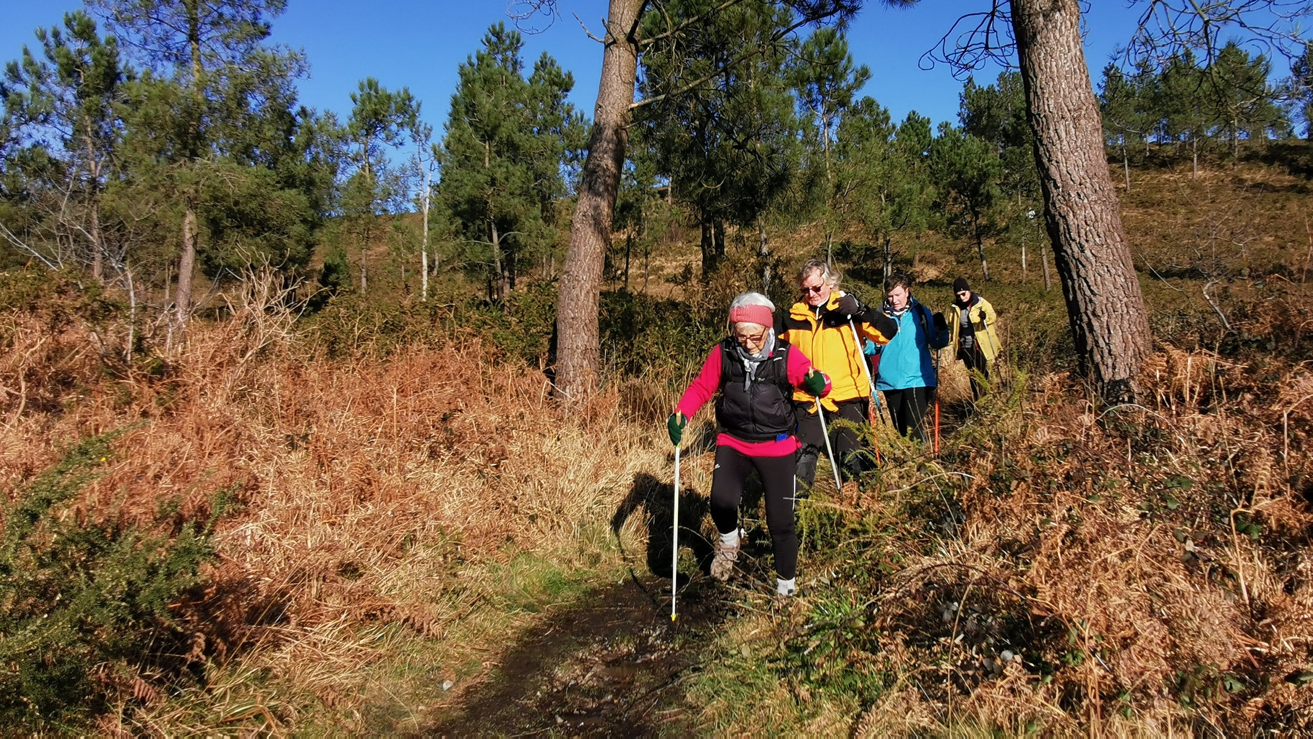 154-IMG_20210110_114228