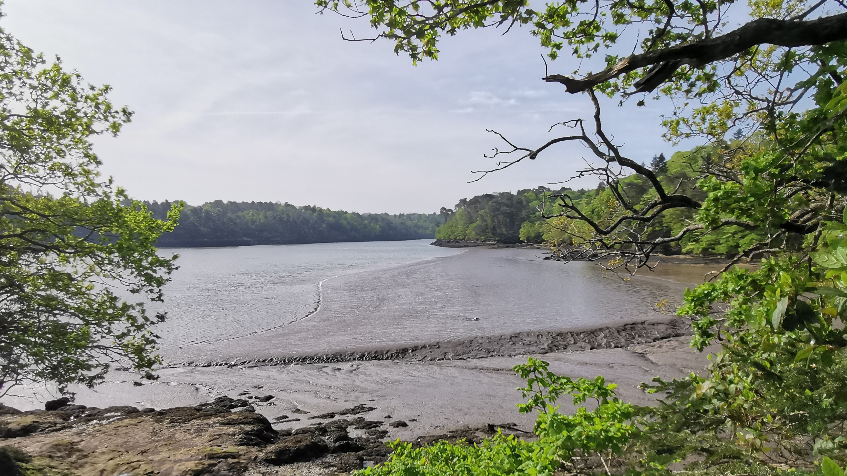 40-IMG_20210425_104810