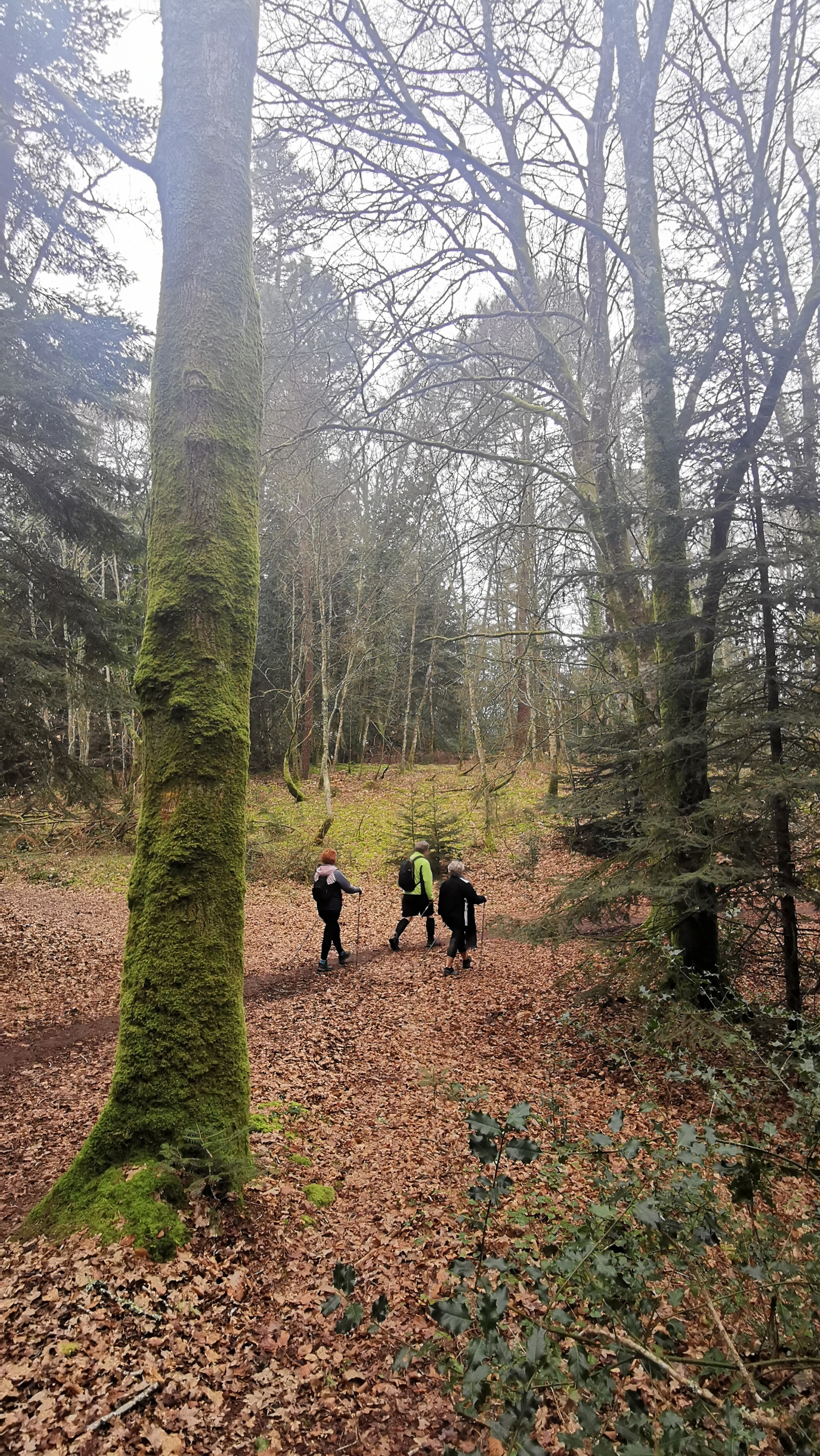 07-IMG_20210304_095518