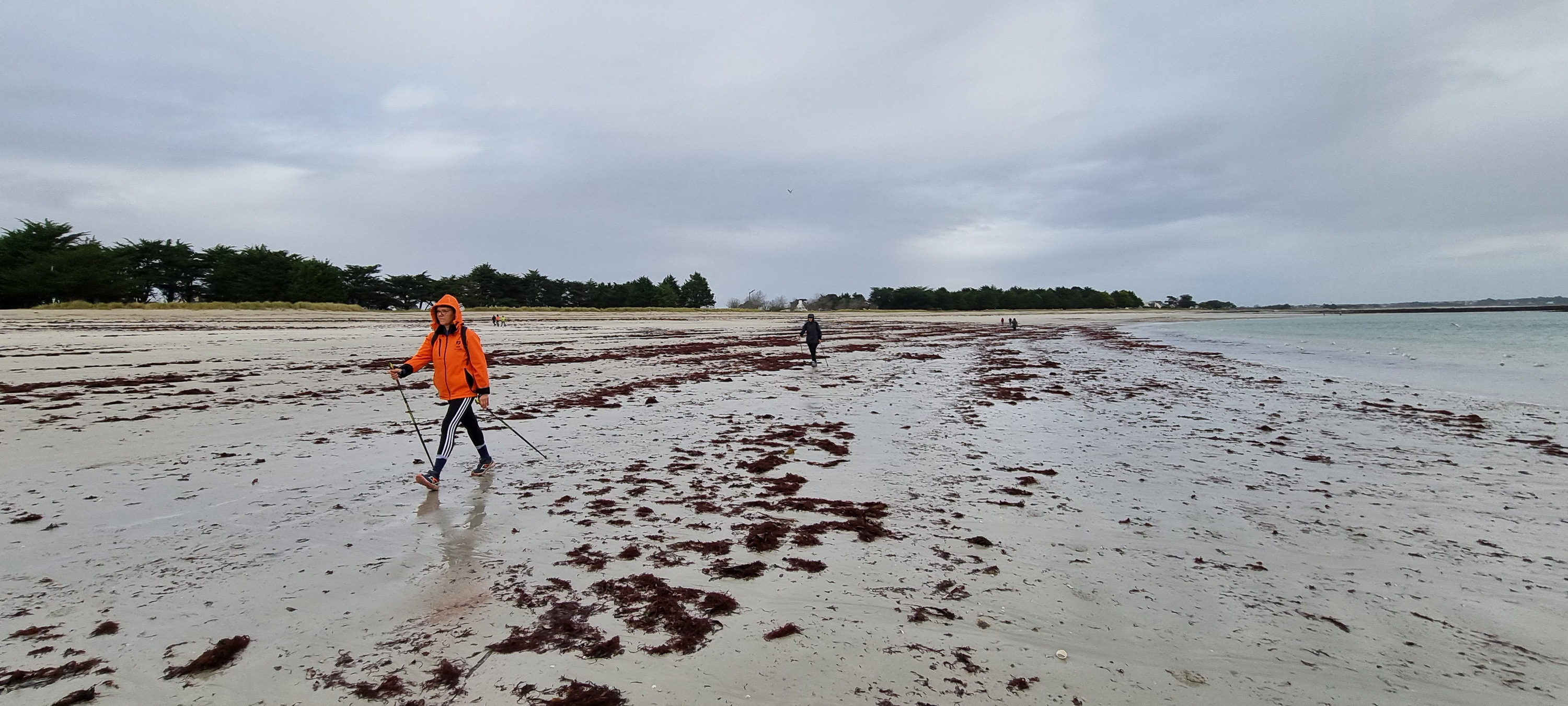 93-20211121_112341(0)