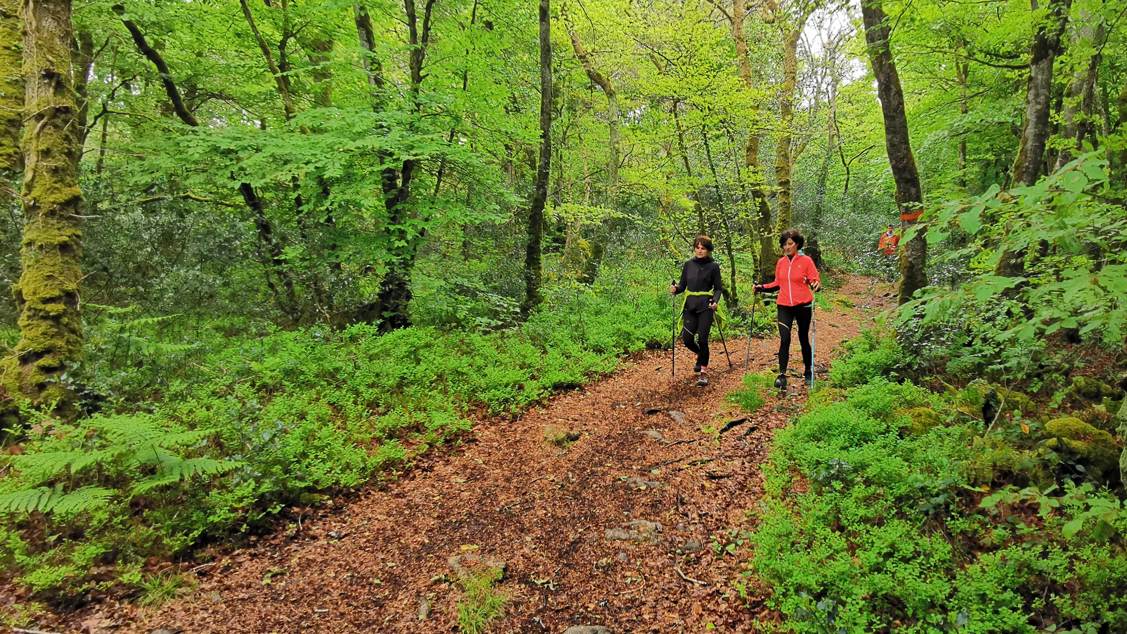 29-IMG_20210508_103817