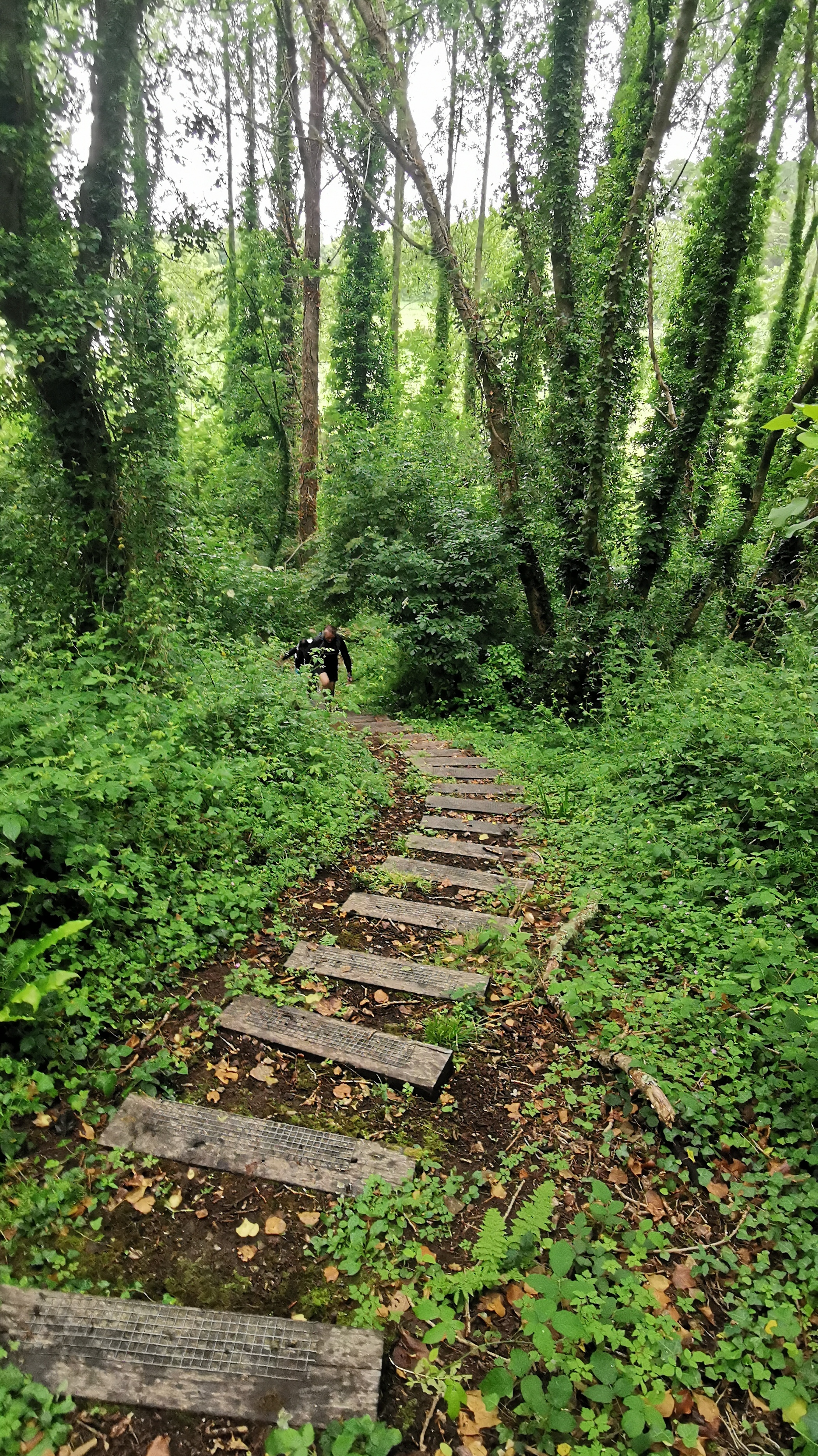 120-IMG_20210620_110651