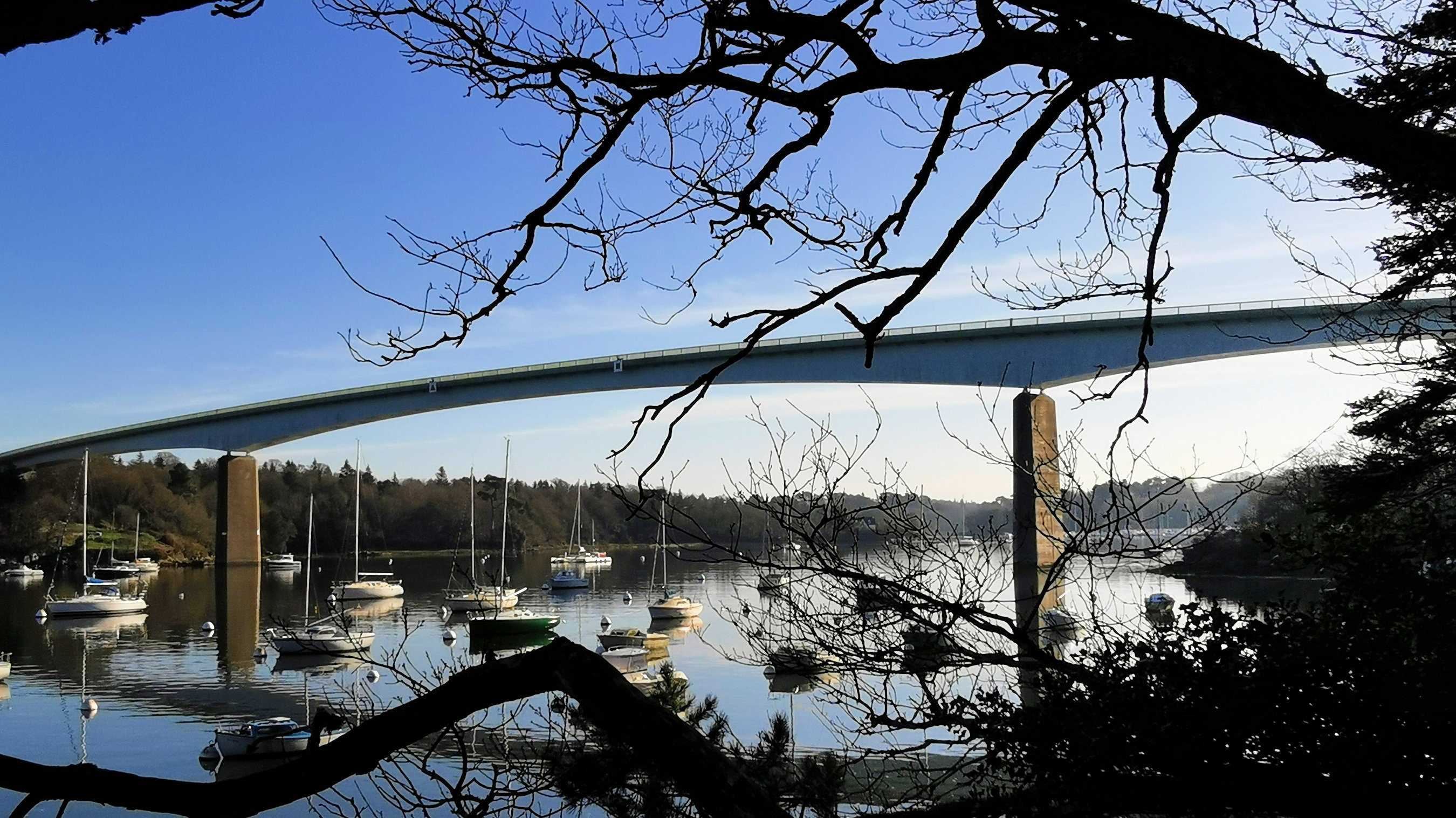 48-IMG_20210206_112722