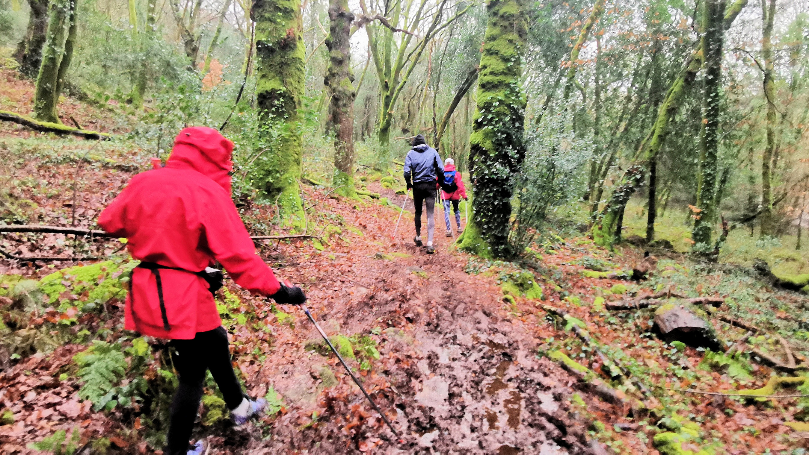 36-IMG_20210121_103941