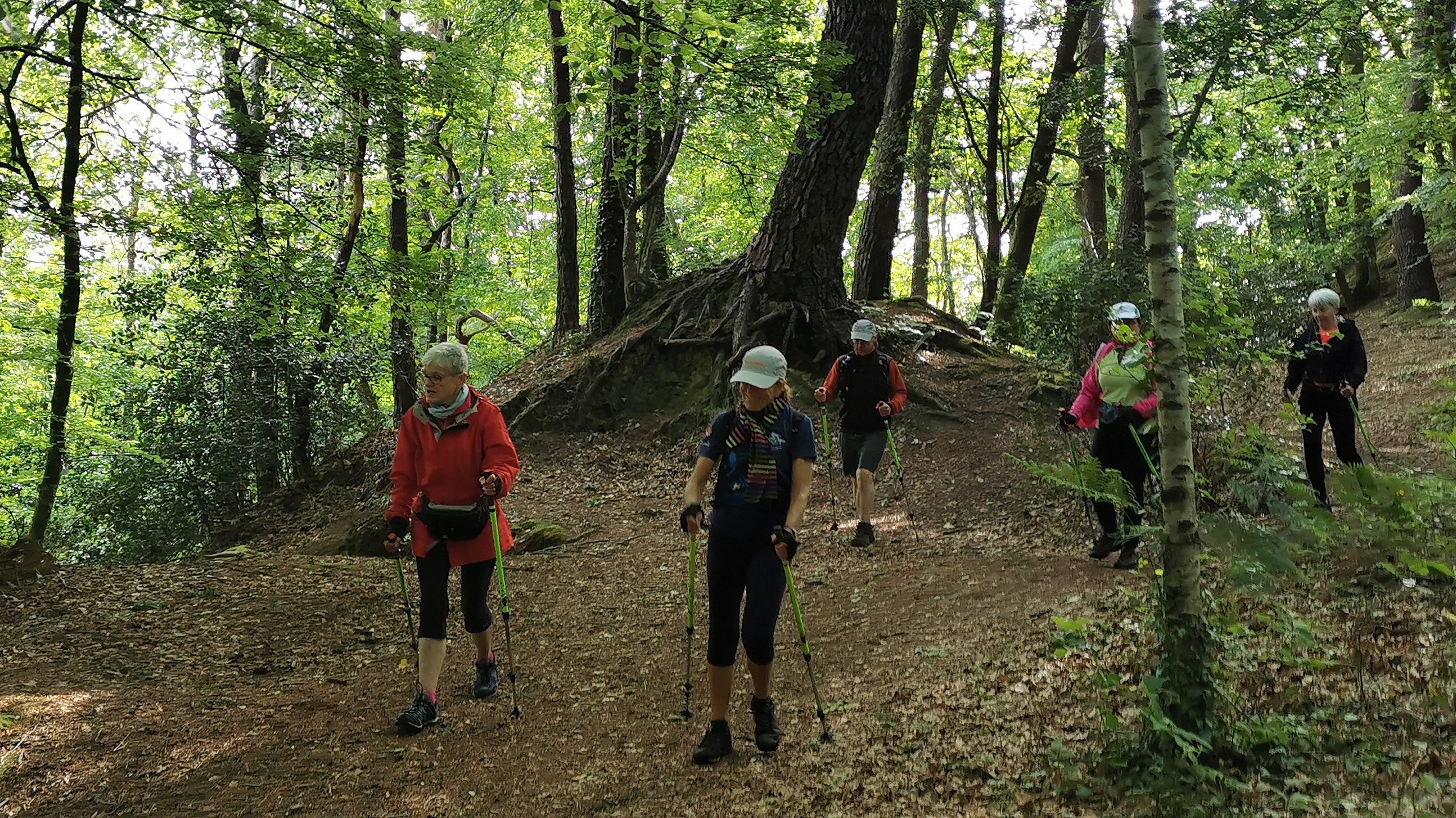 22-IMG_20210525_101856