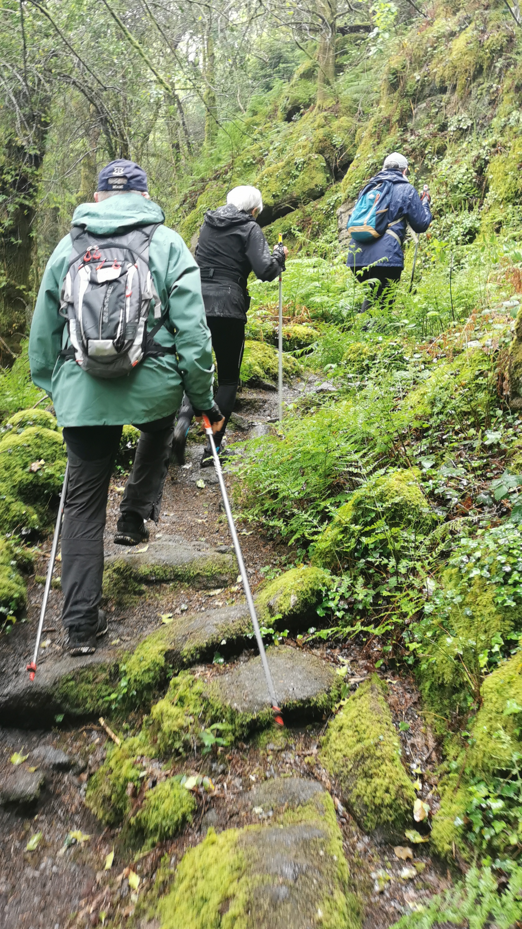 018-IMG_20210513_095100_1