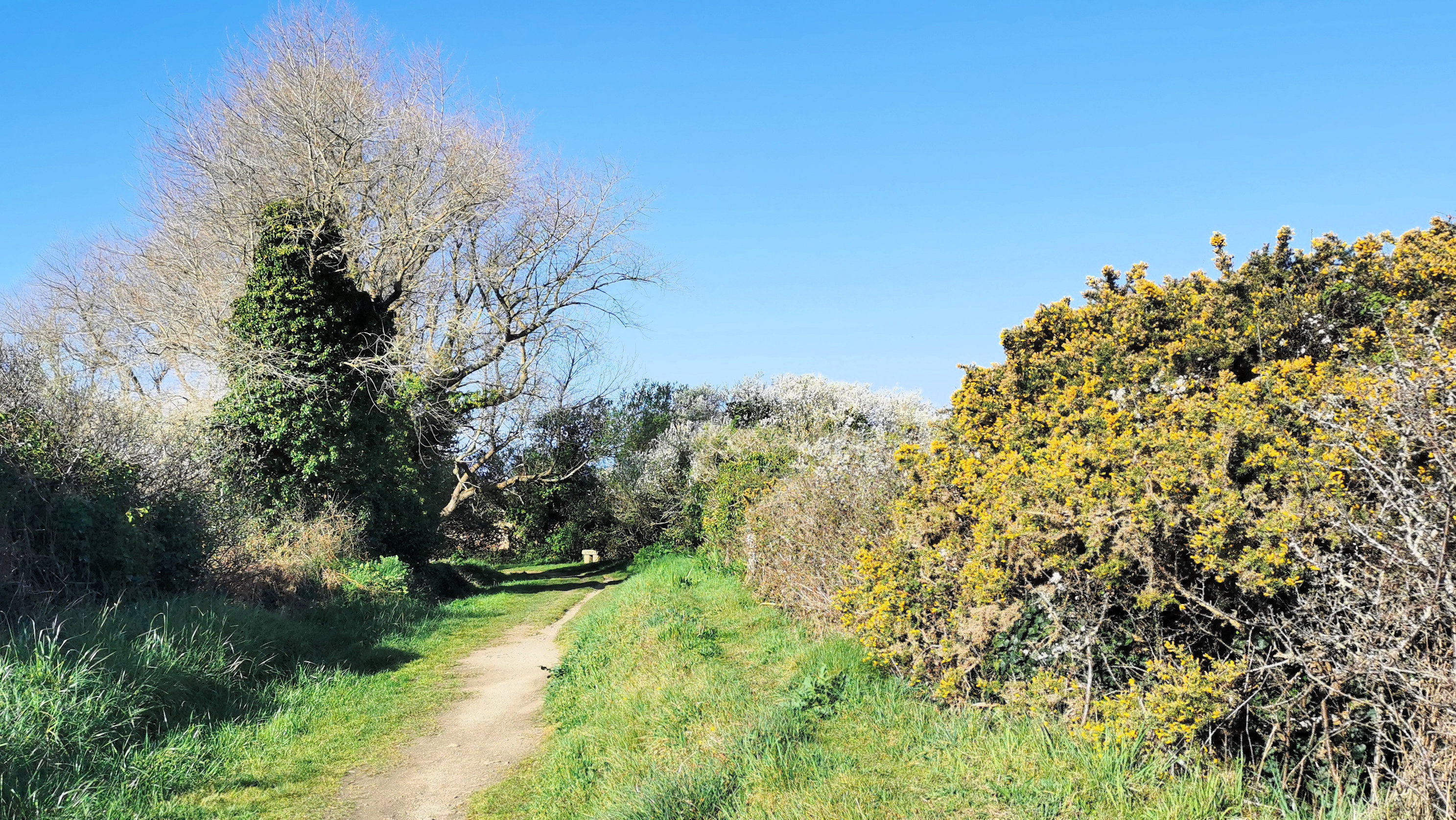 23-IMG_20210403_104243_1