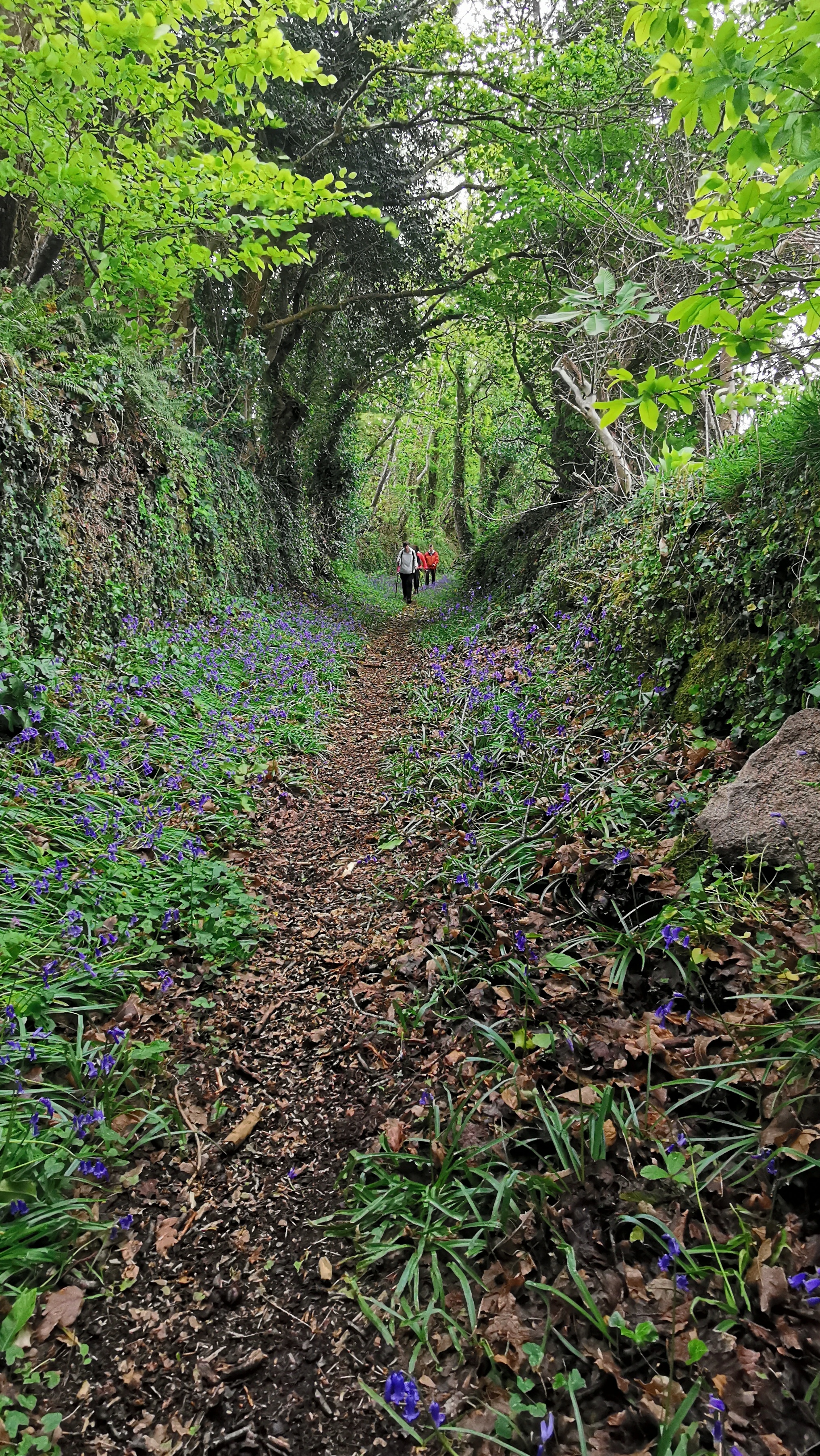 41-IMG_20210508_105848_1