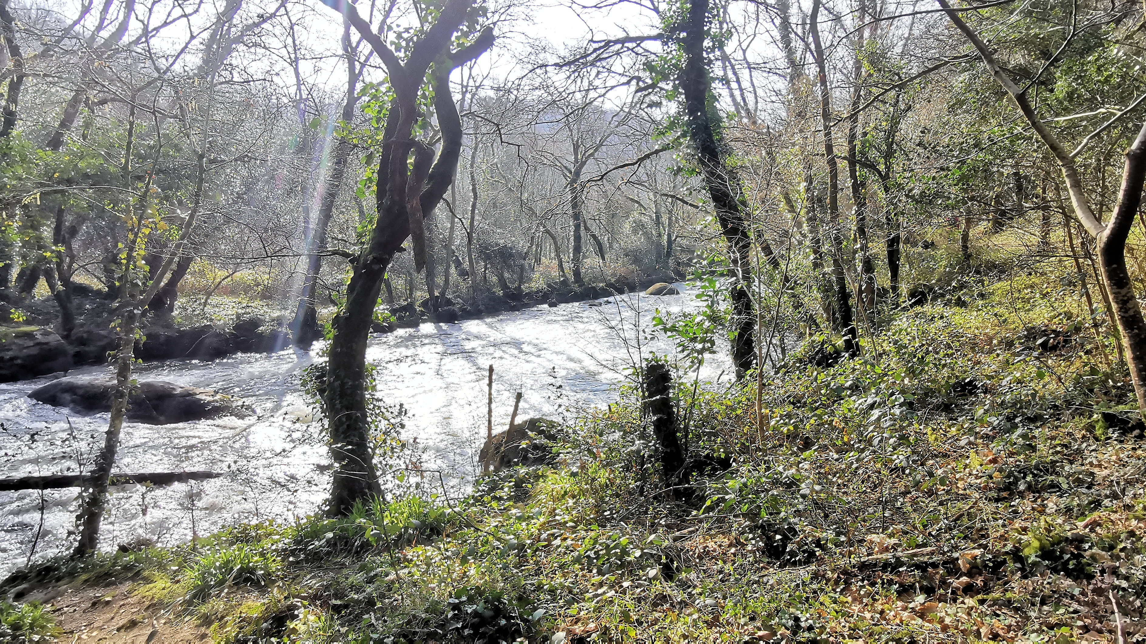 78-IMG_20210307_110407